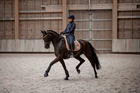 Dressurreiten - so funktioniert die Dressur