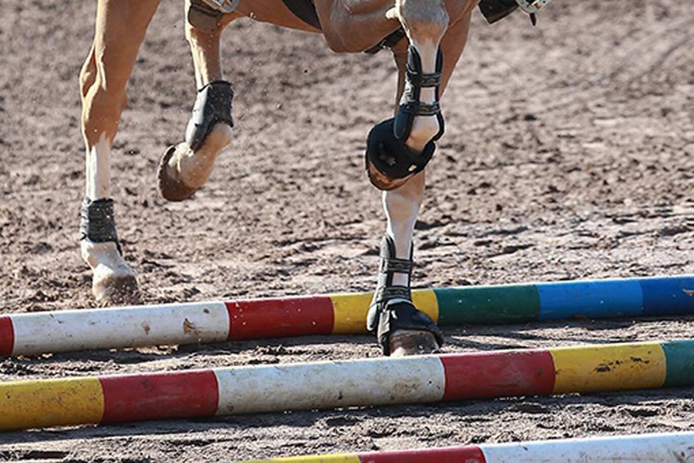 Stangenarbeit – das effektive Gymnastizieren für mehr Rittigkeit & Kraft