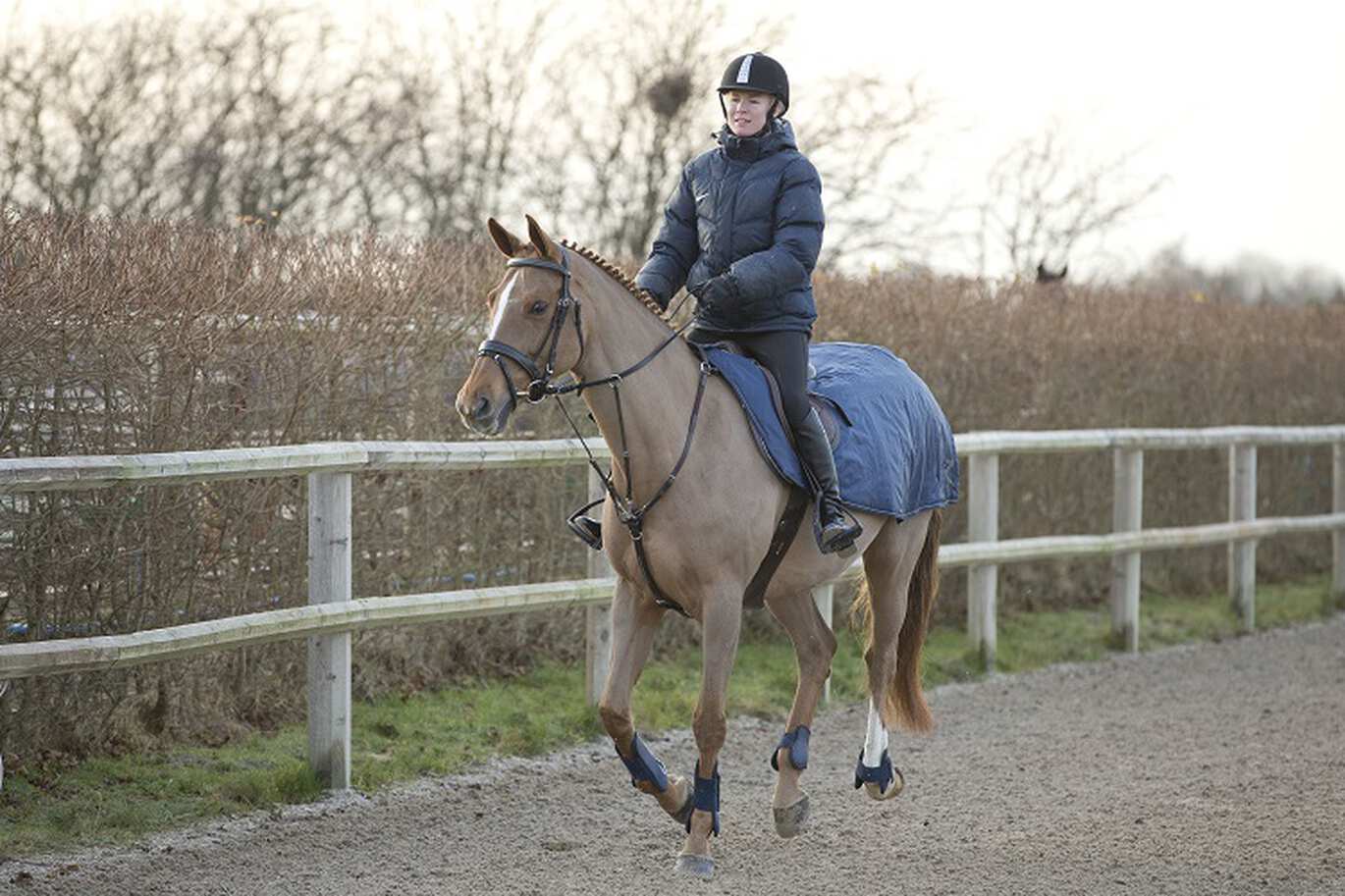 Welche Wirkung hat welcher Hilfszügel?