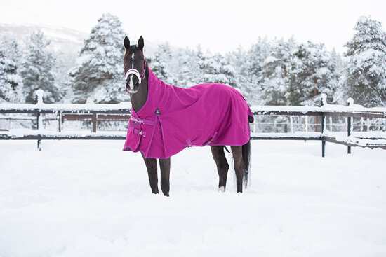 Tipps für die Pferdepflege im Winter