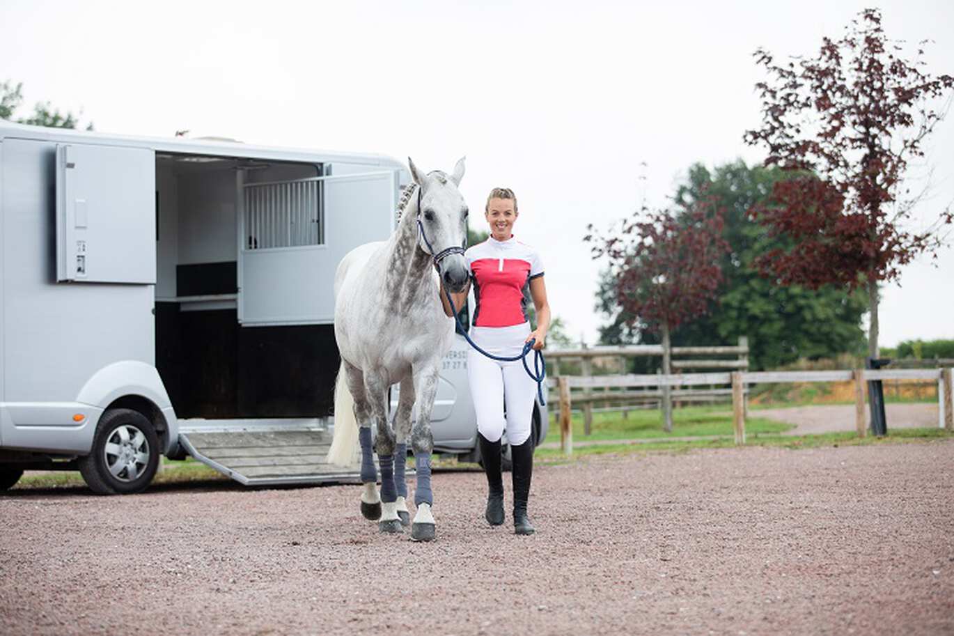 Pferd im Hänger einfach und sicher verladen