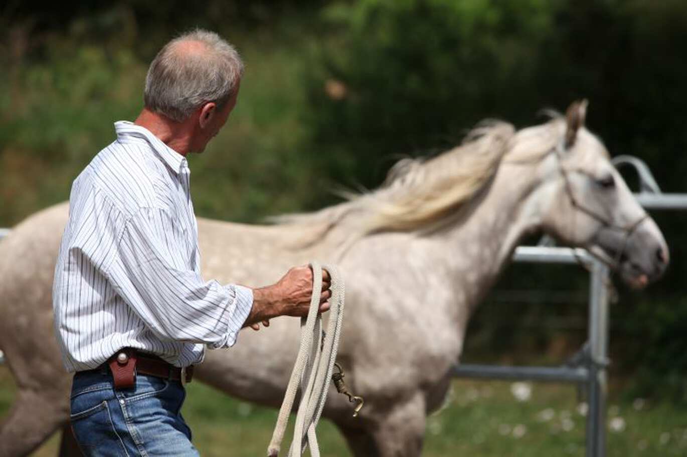 Horsemanship - harmonisches Miteinander zwischen Mensch und Pferd