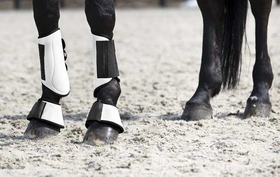 Warum benötigen Pferde einen Beinschutz?