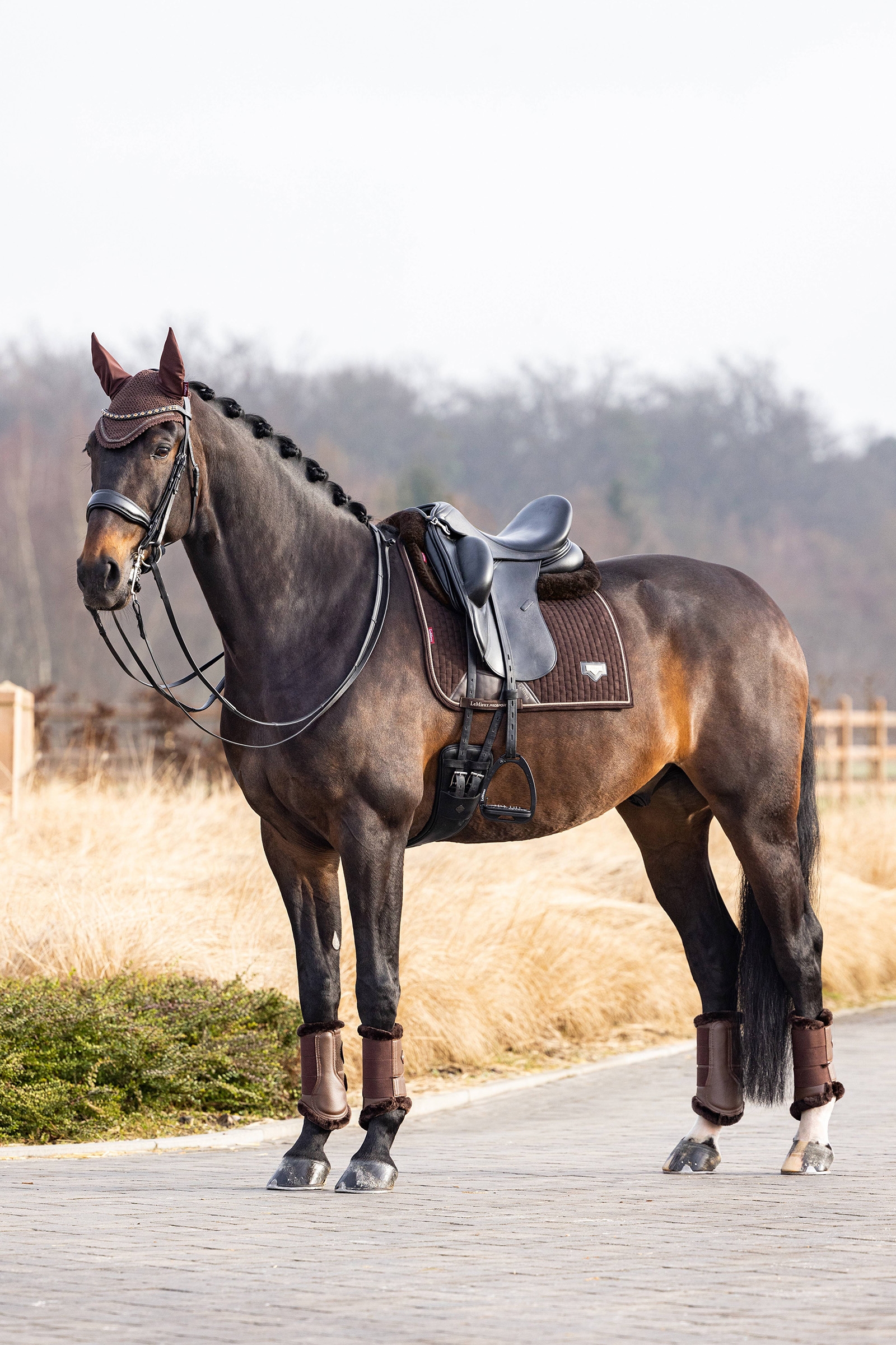 LeMieux Puissance Dressurschabracke aus Wildlederimitat