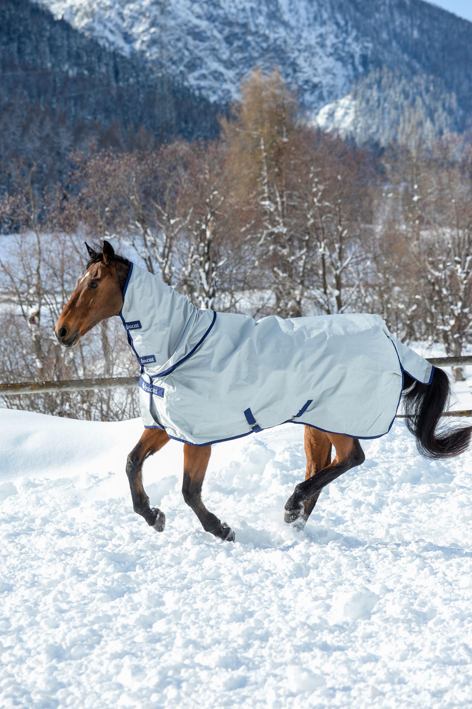 Bucas Power Halsteil f&uuml;r Weidedecke, 300g