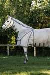 Horseware Rambo Optimo Protector Plus Weidedecke