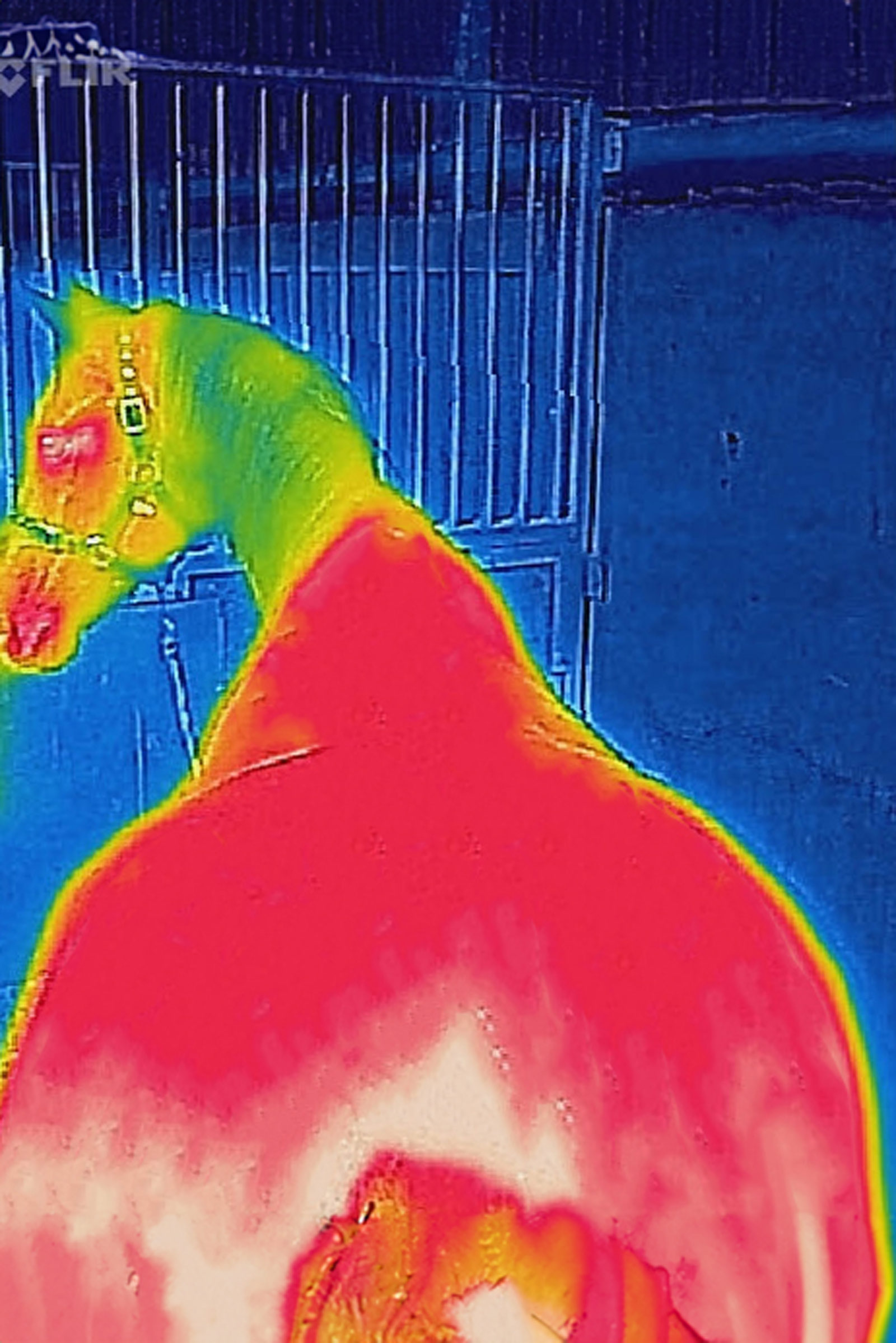 Bucas Therapy Mesh Abschwitzdecke