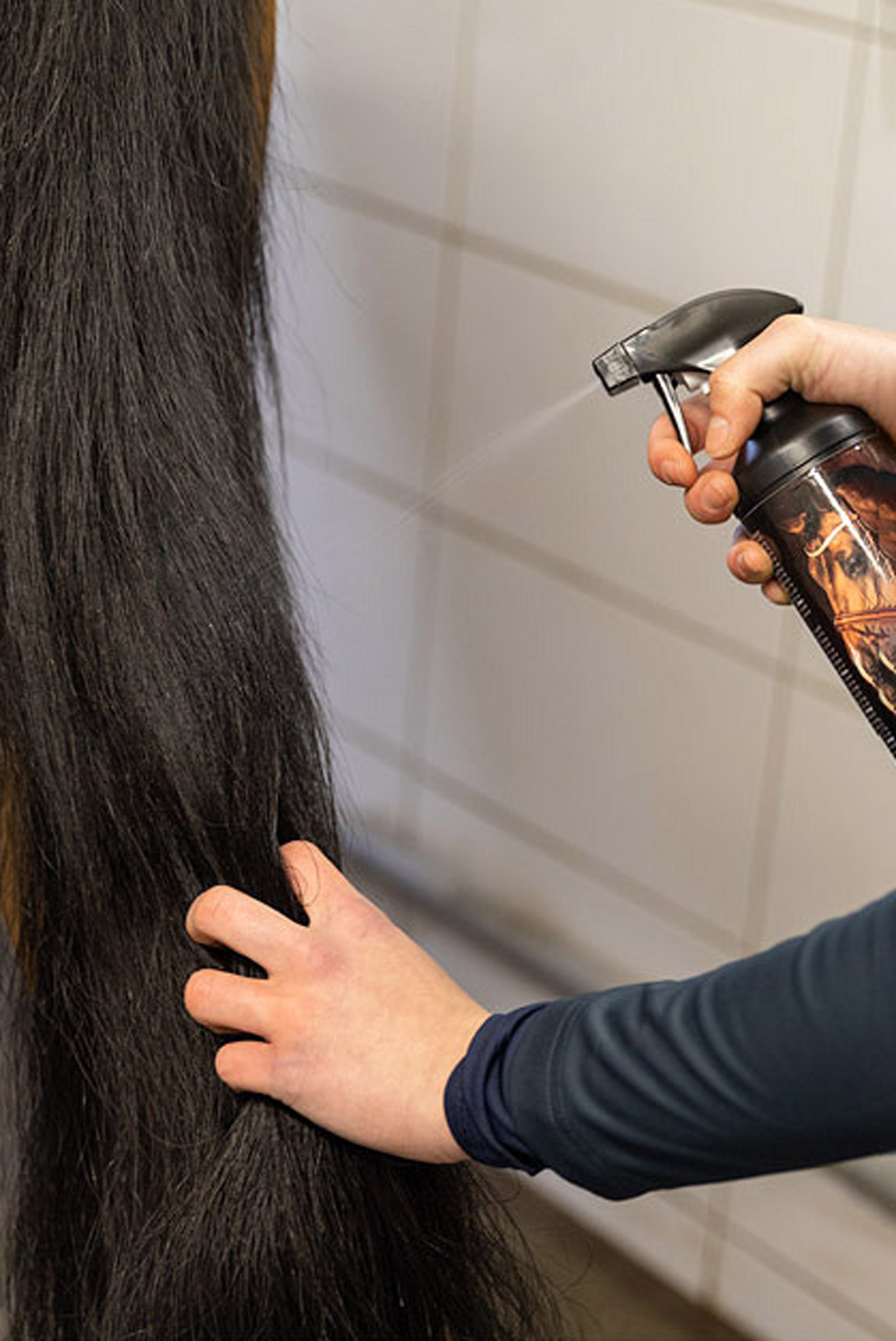 BR Maehnen und Schweif Lotion, 500 ml