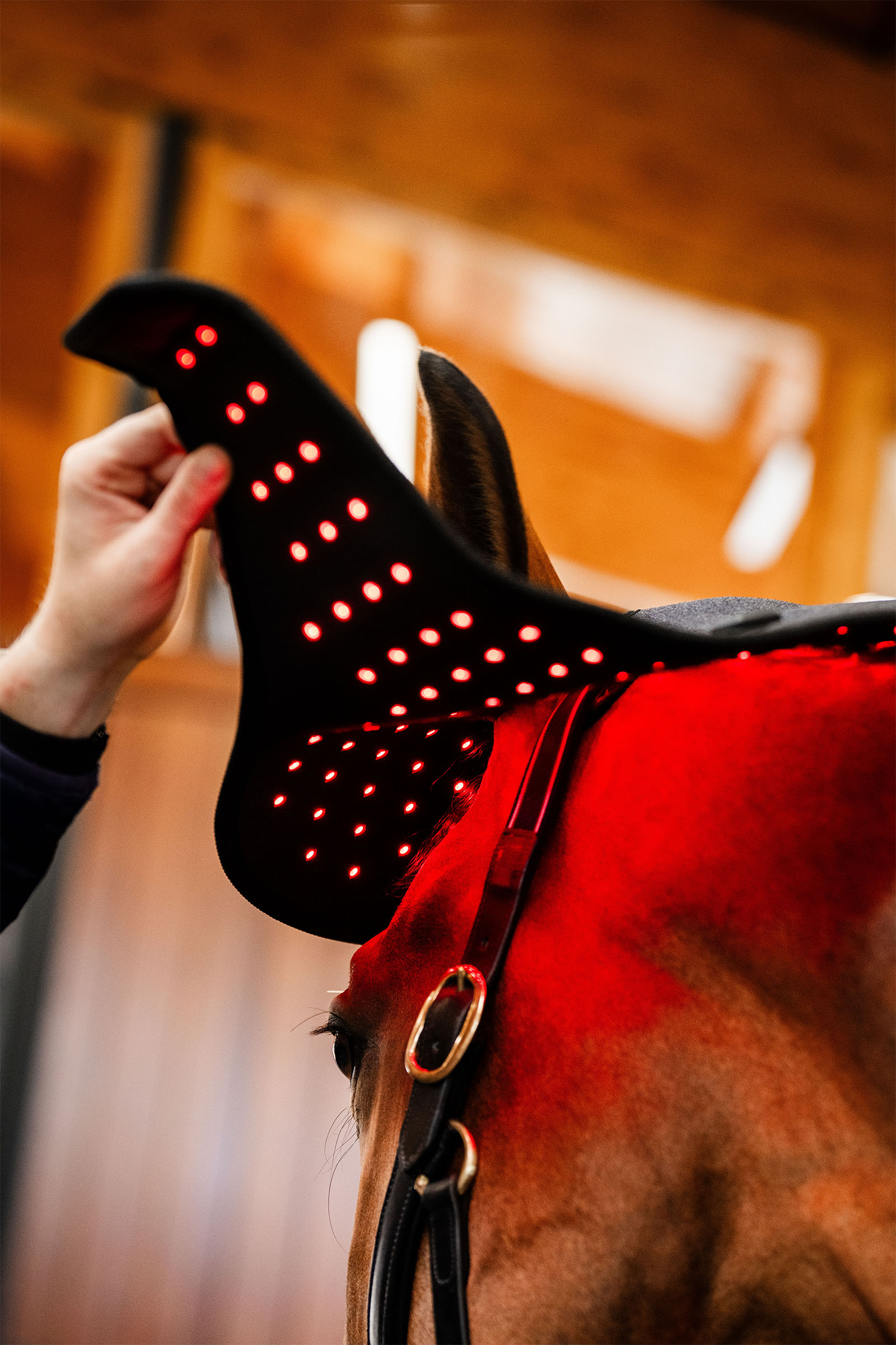 Horseware LED Rotlicht-Therapie Genickhaube