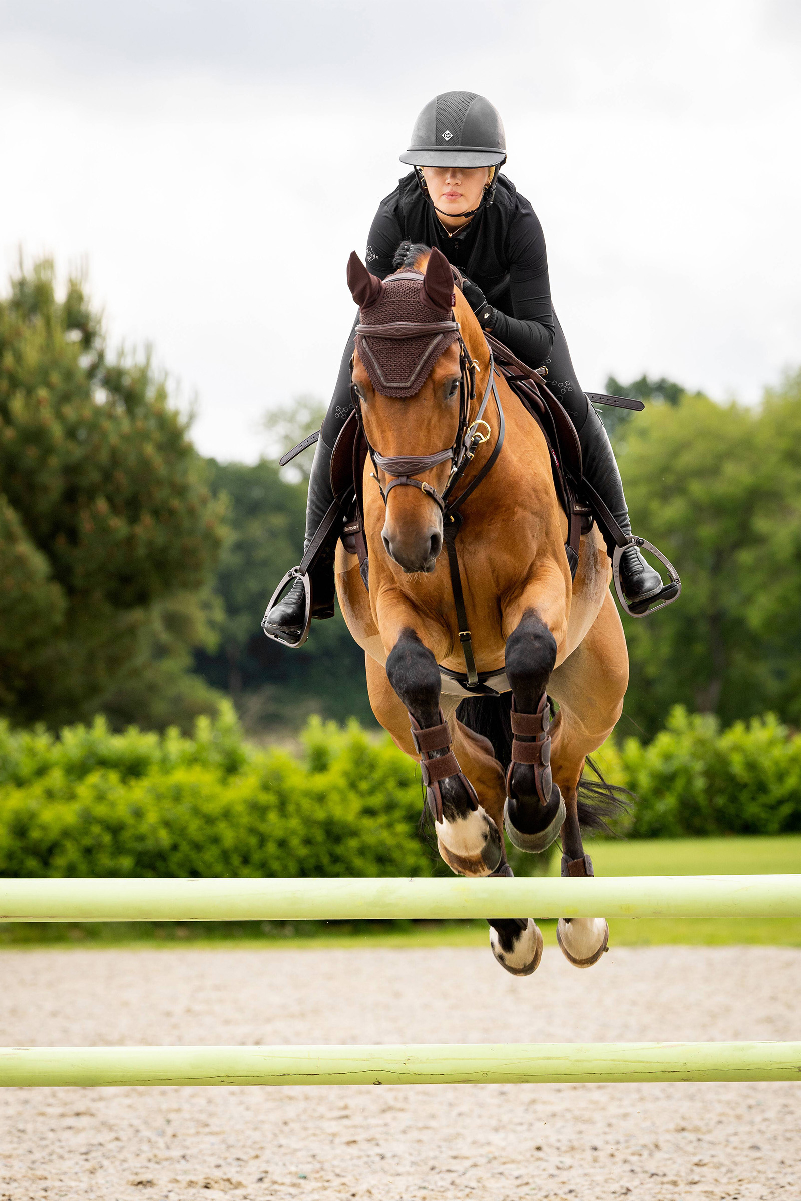 LeMieux Crystal Fliegenhaube