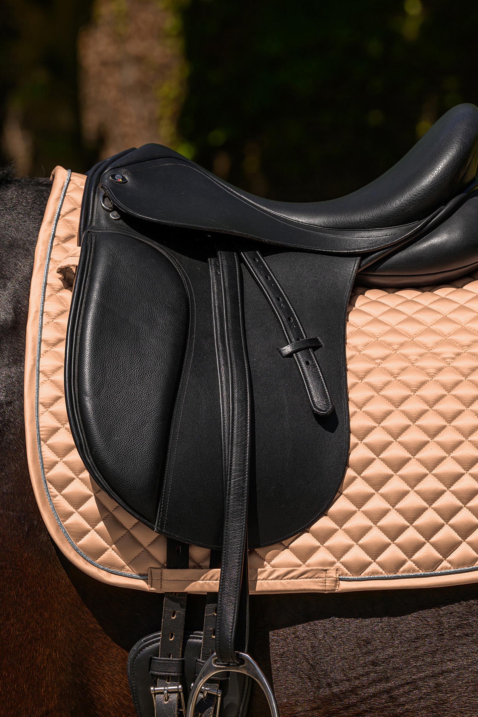 Waldhausen Felix Glam Dressurschabracke