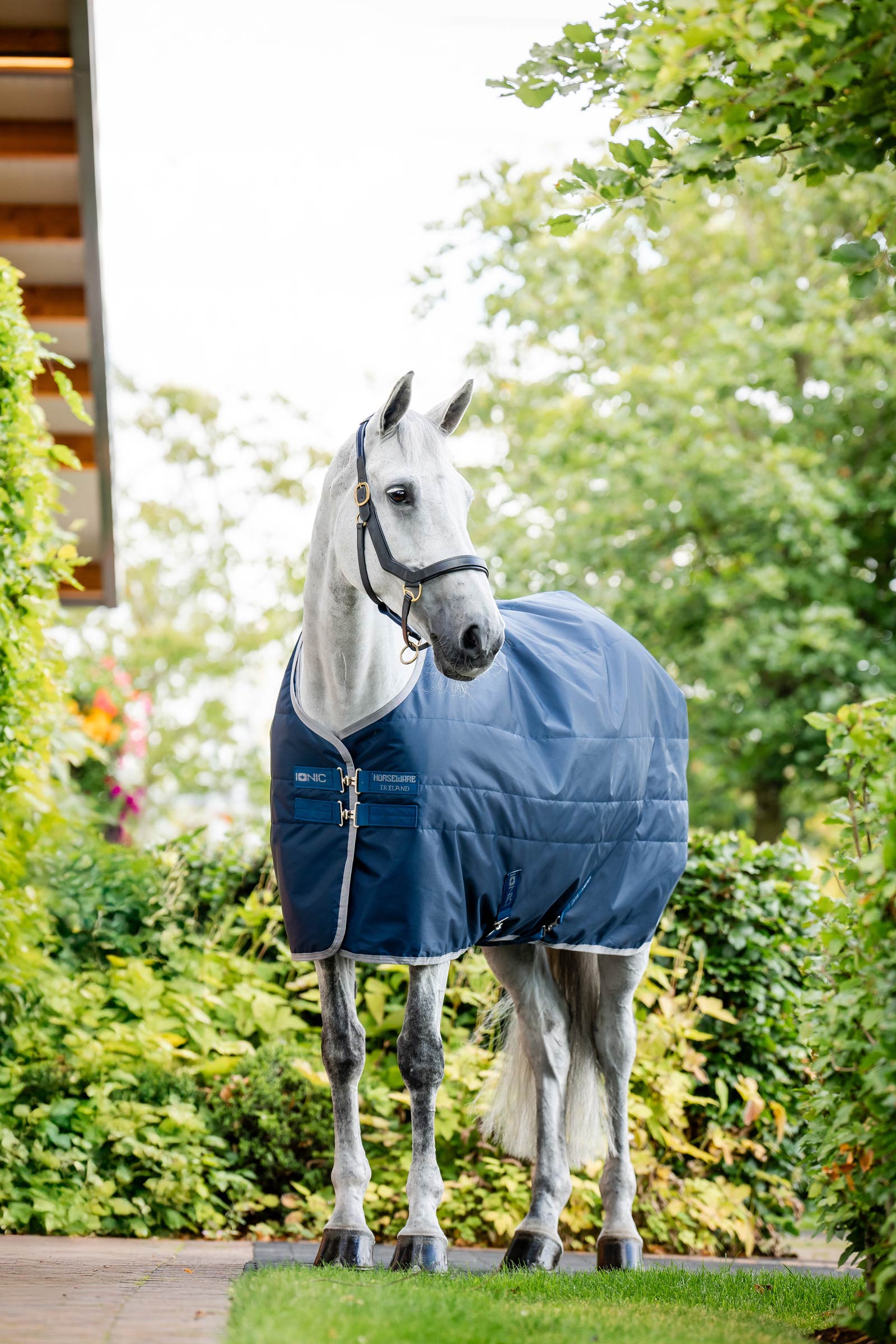 Horseware Ionic Therapy Stalldecke, 50g