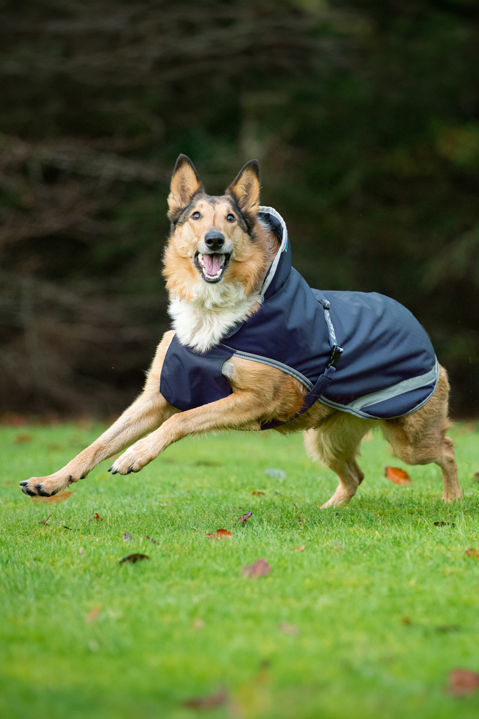 Bucas Freedom Hundedecke, 300g (50-75 cm)