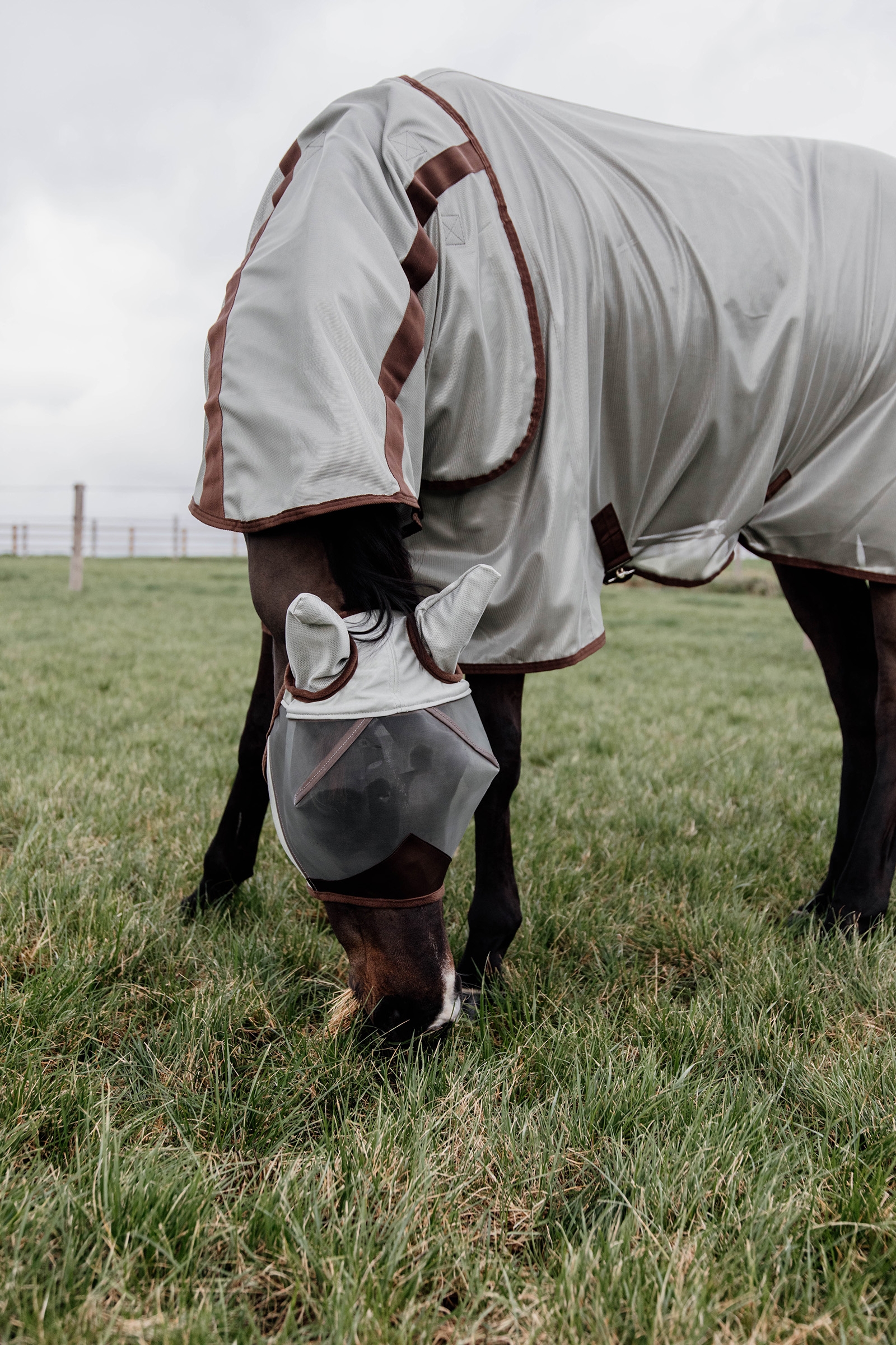 Kentucky Horsewear Classic Fliegendecke