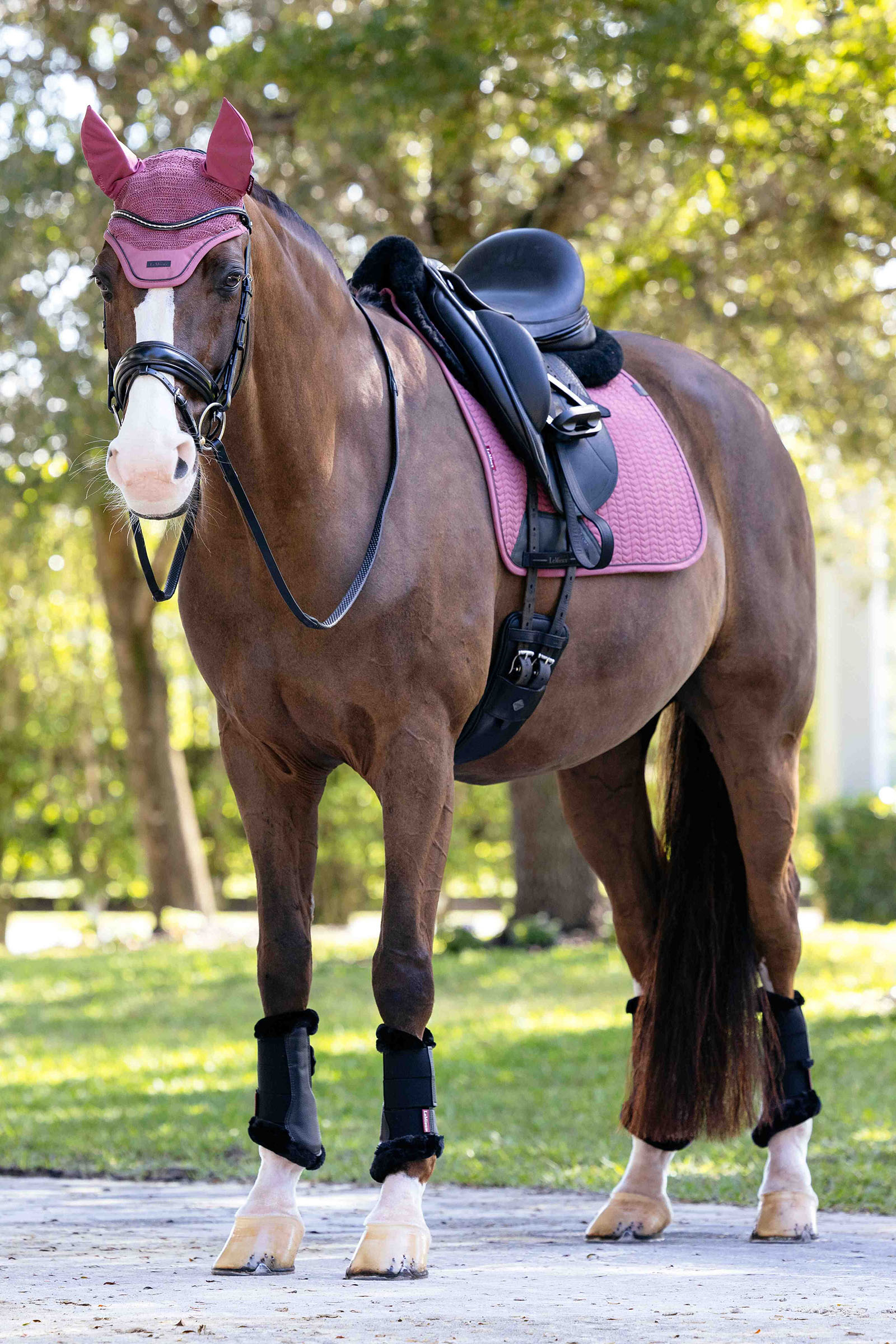 LeMieux Essence Dressurschabracke