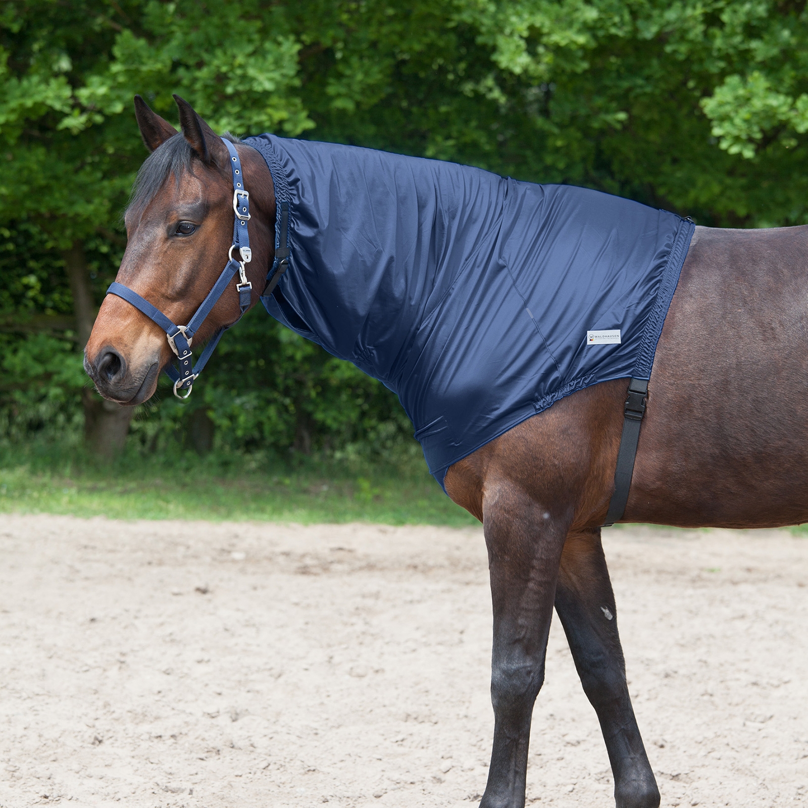 Waldhausen Ekzem-Halsteil