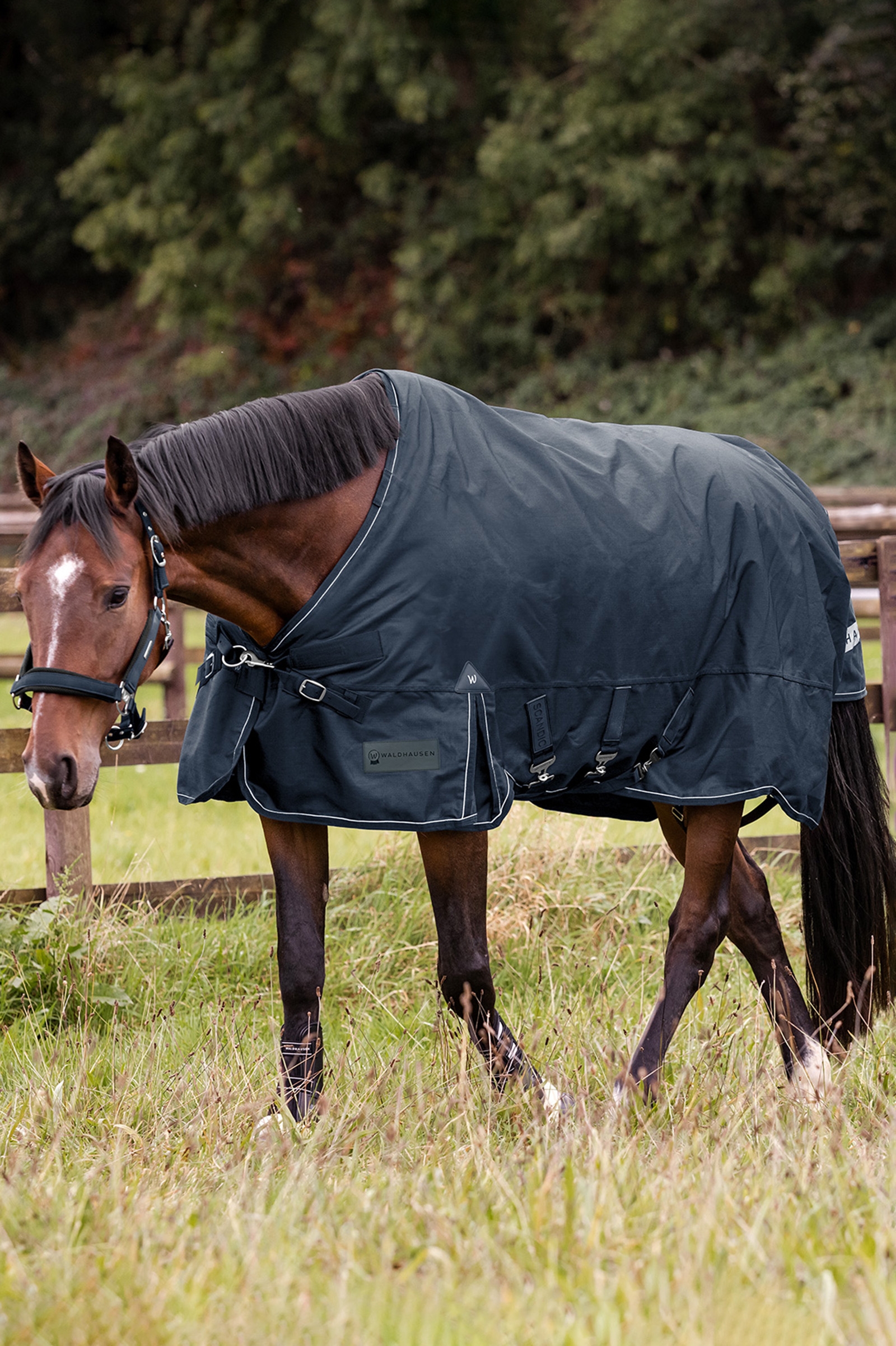 Waldhausen Outdoor Rug Scandic Multi-Layer 150g/50g