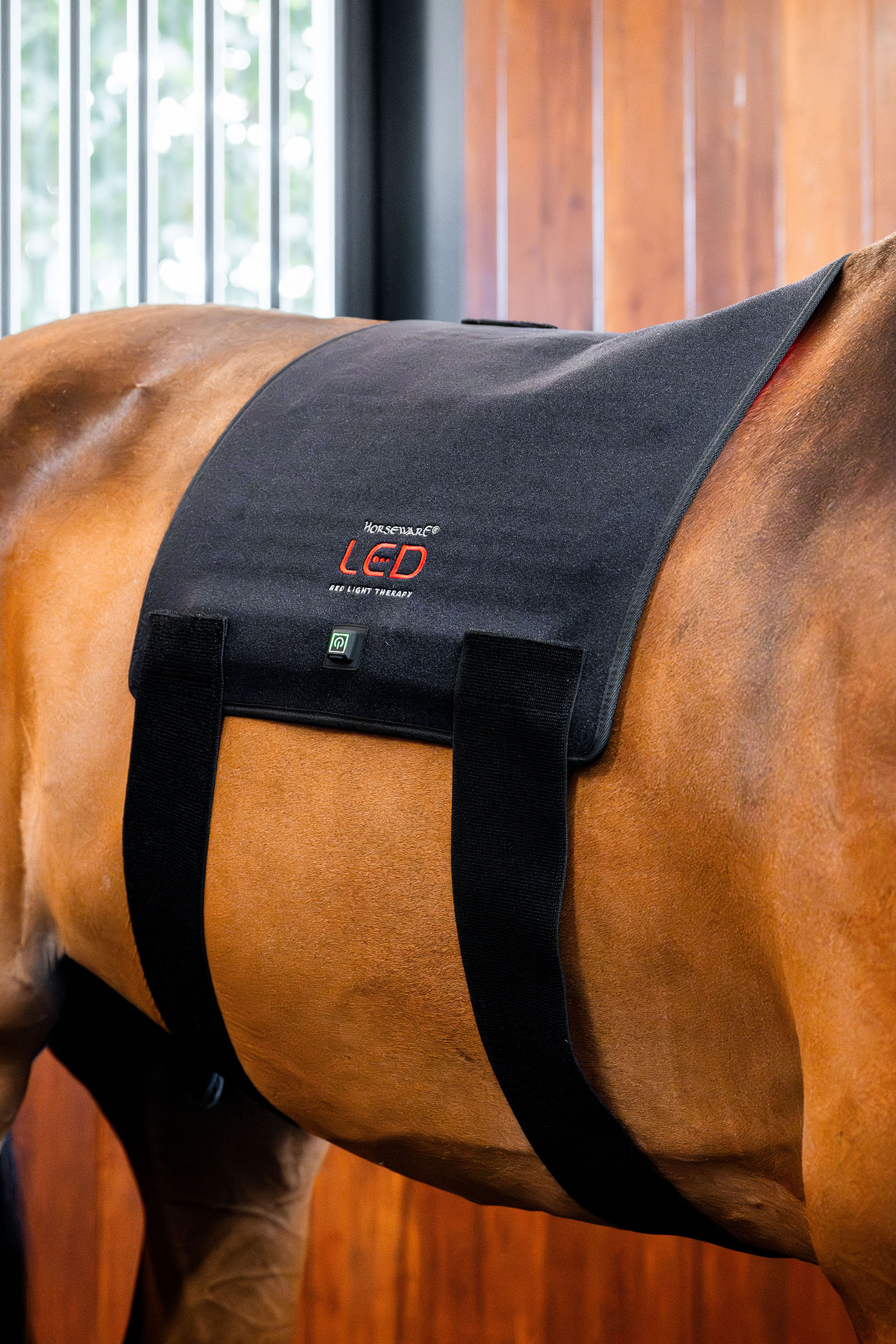 Horseware LED Rotlicht-Therapie Pad