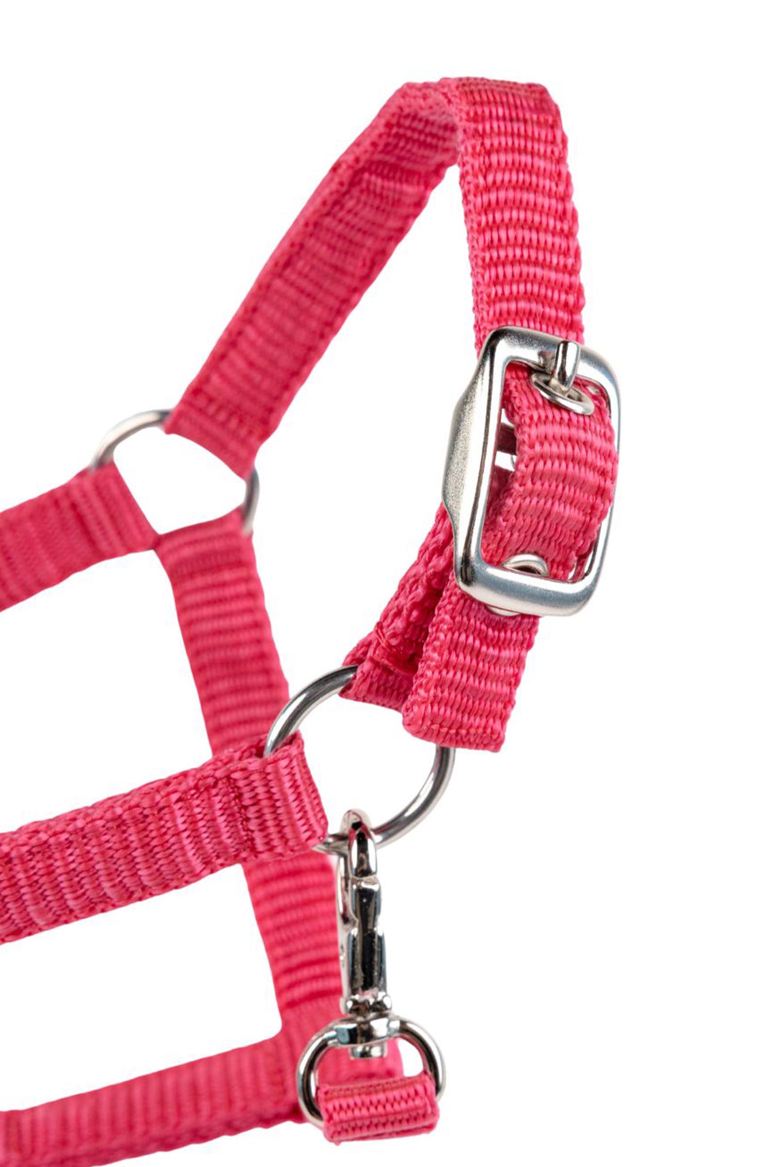 My Hobby Horse Nylonhalfter