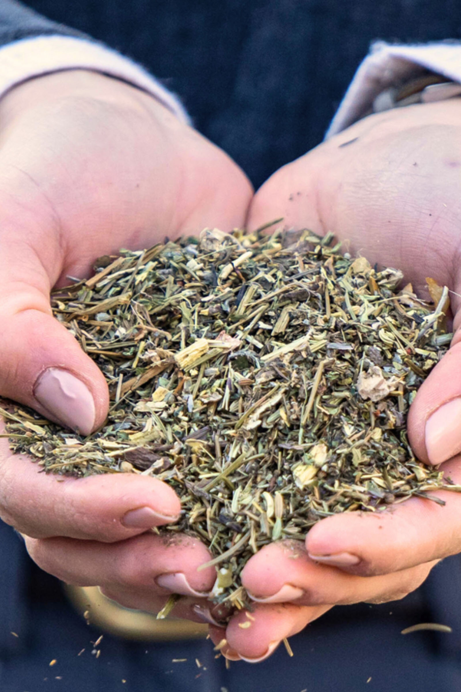 Stiefel Hustenkr&auml;uter, 1kg