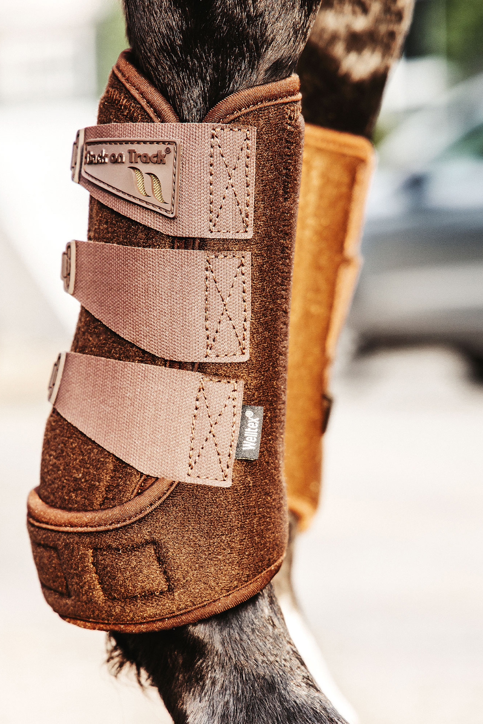 Back on Track Airflow Trainingsgamaschen