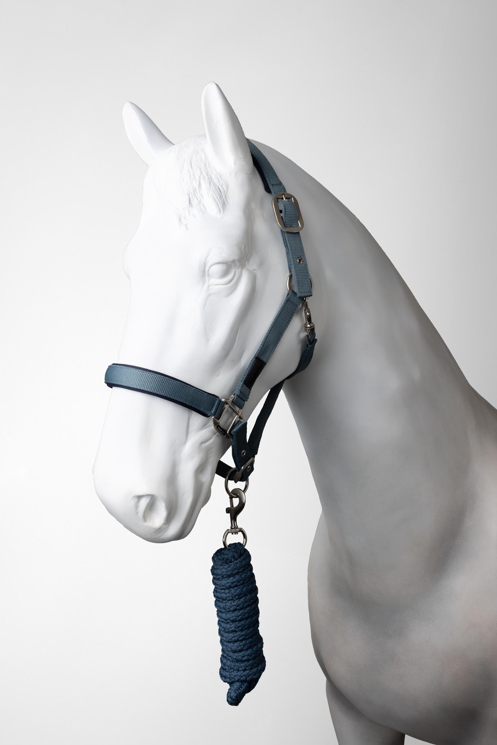 Stormy weather Horze Lucca Halfter & Führstrick Set