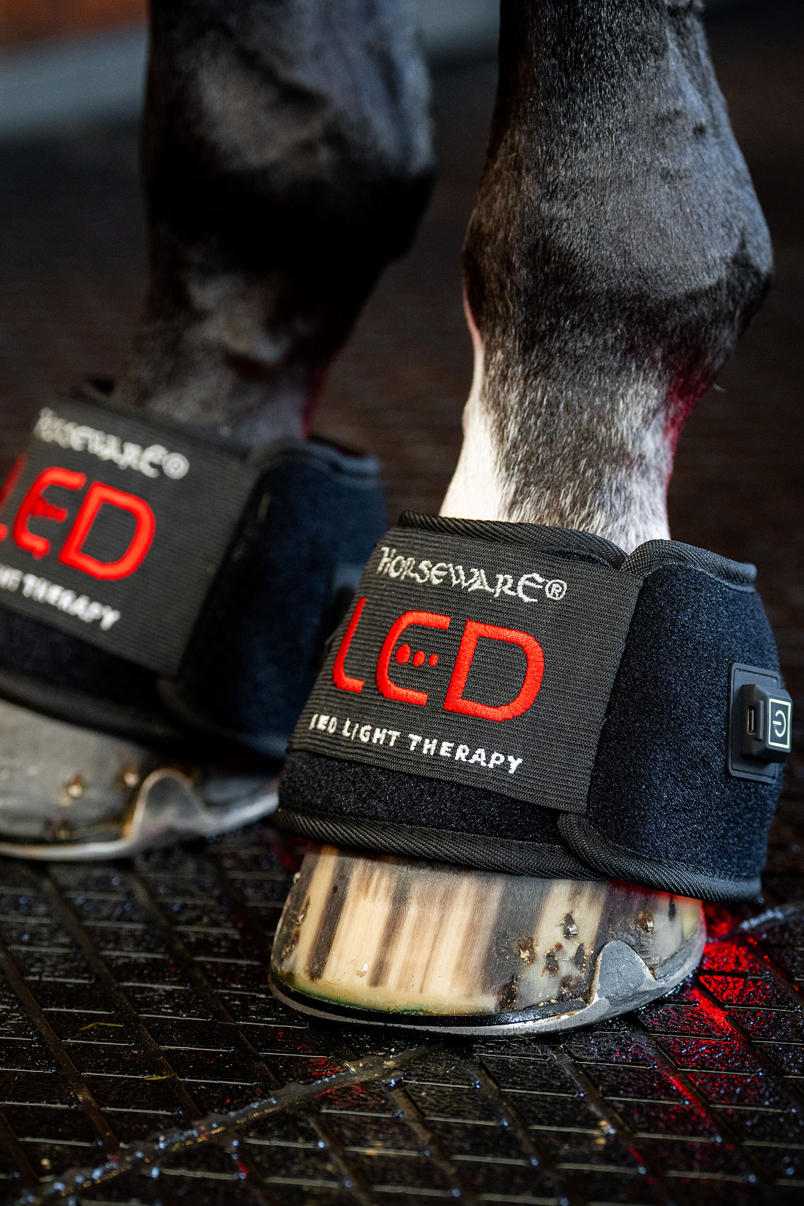 Horseware LED Rotlicht Therapie Mini-Gamasche (1 Stk.)