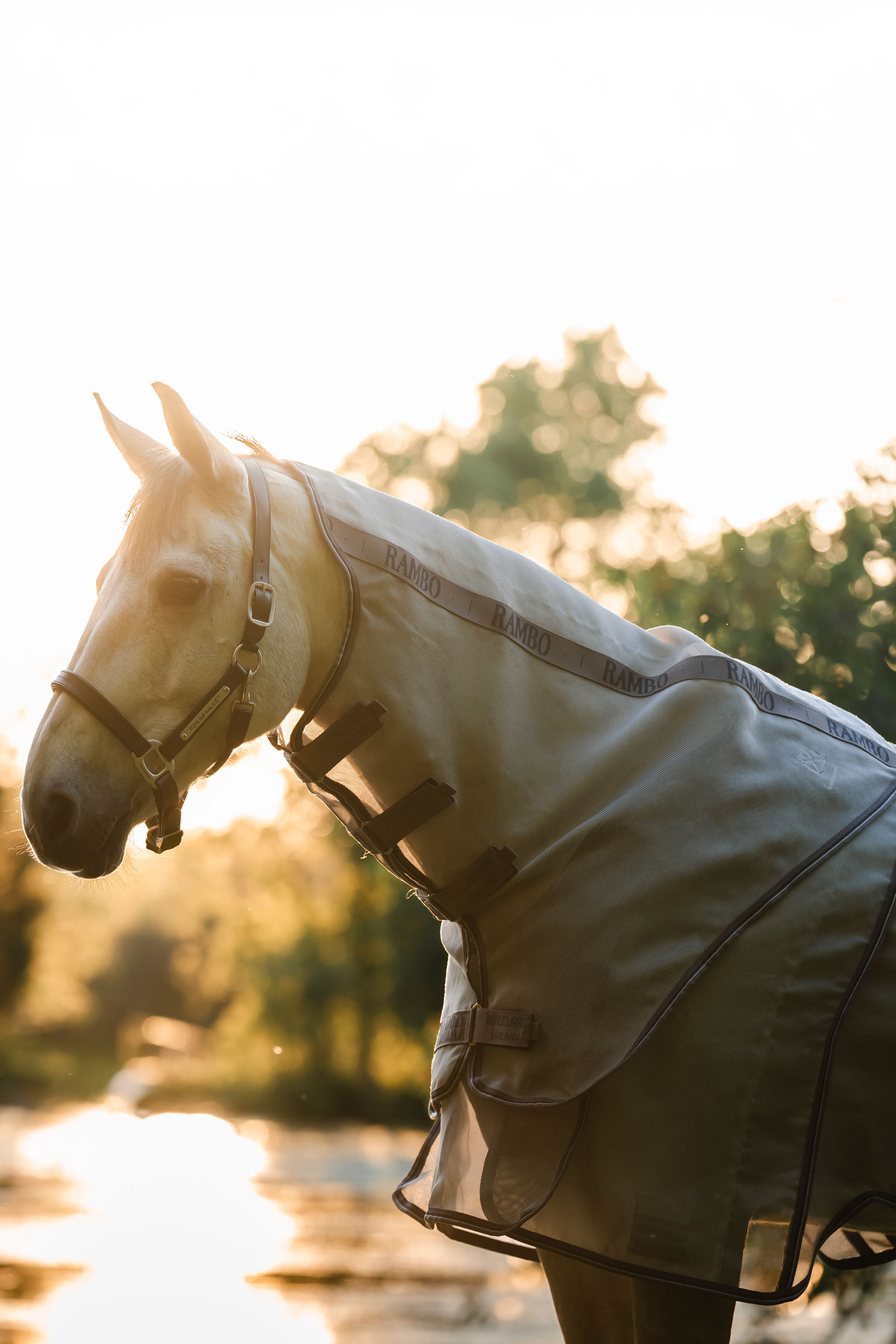 Horseware Rambo Optimo Protector Plus Weidedecke