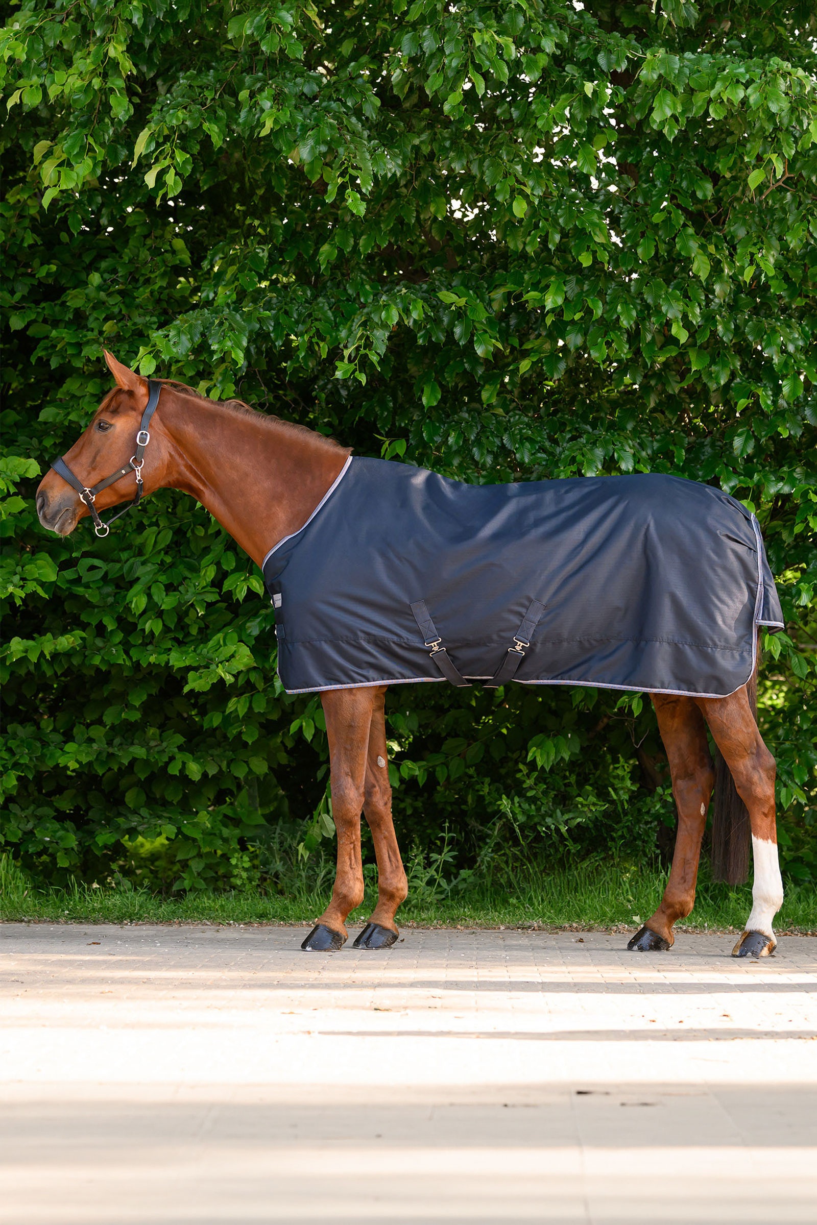 Waldhausen ECONOMIC Outdoordecke, 200g