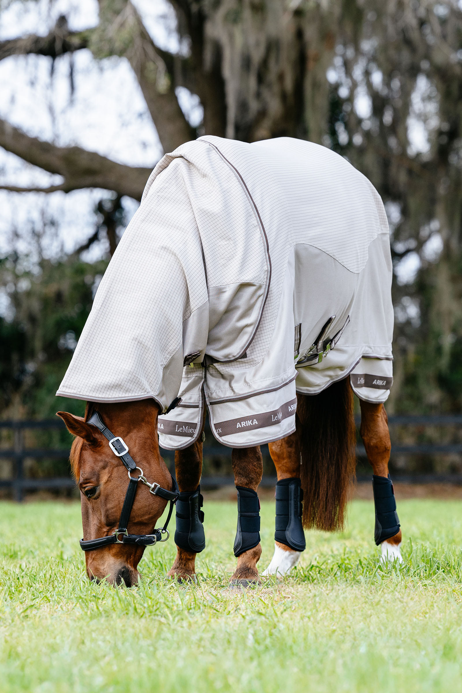 LeMieux Arika 450D Sunstopper Decke mit abnehmbarem Halsteil, 0 g