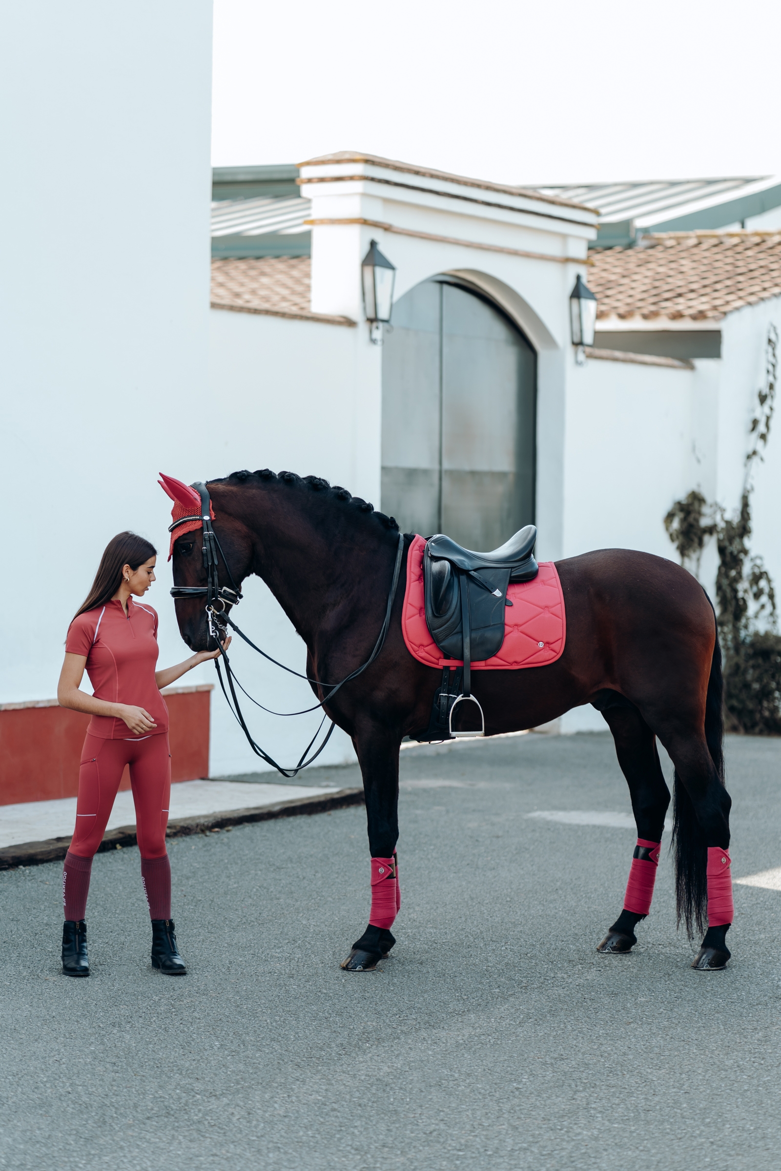 B Vertigo Laurel Dressurschabracke