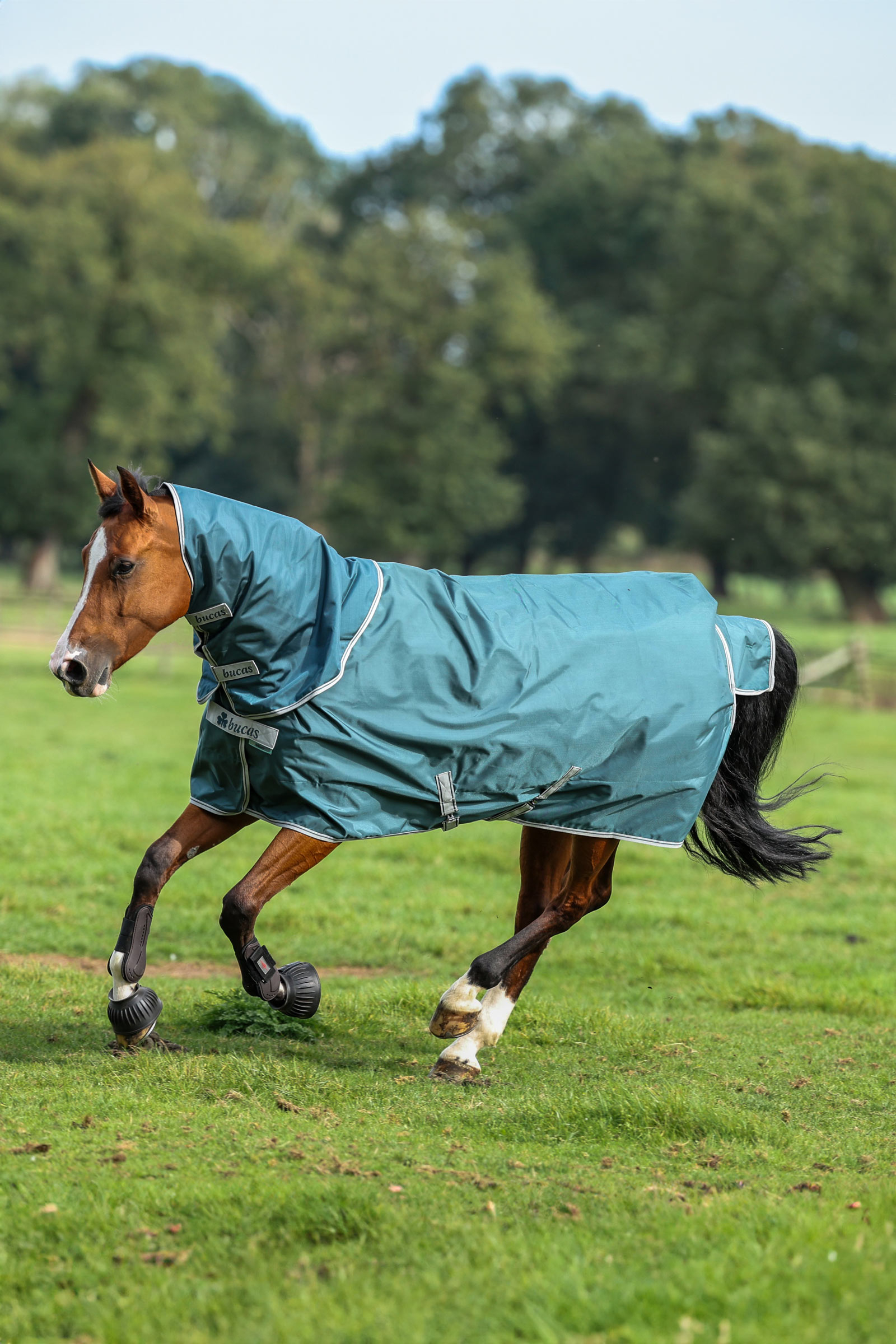 Bucas Atlantic Turnout Halsteil, 50 g