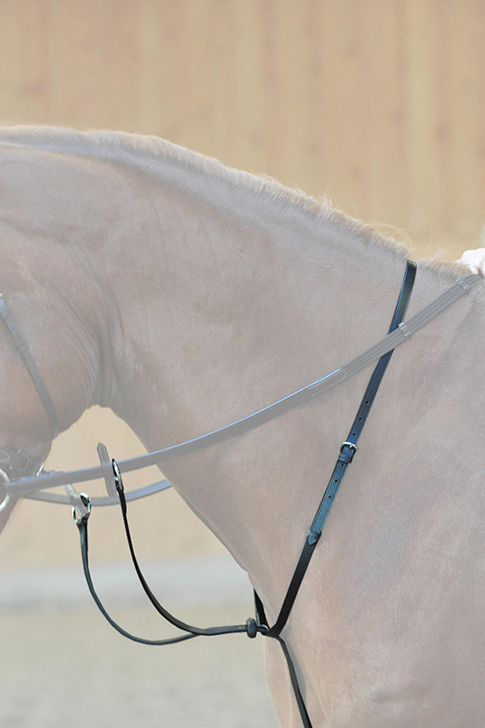 Kavalkade Ecoline Martingal mit Stoppern