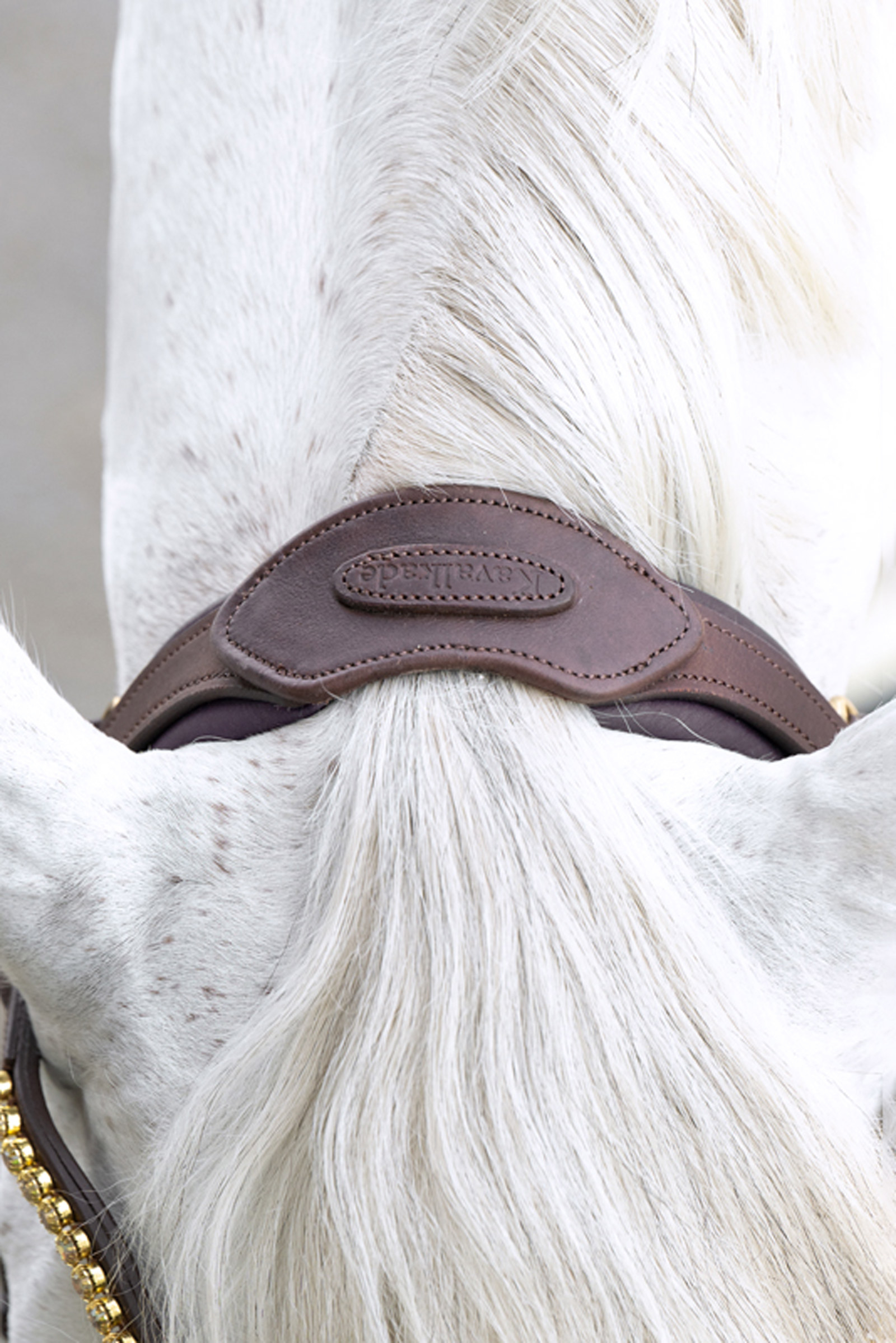 Kavalkade Caliano Englische Trense