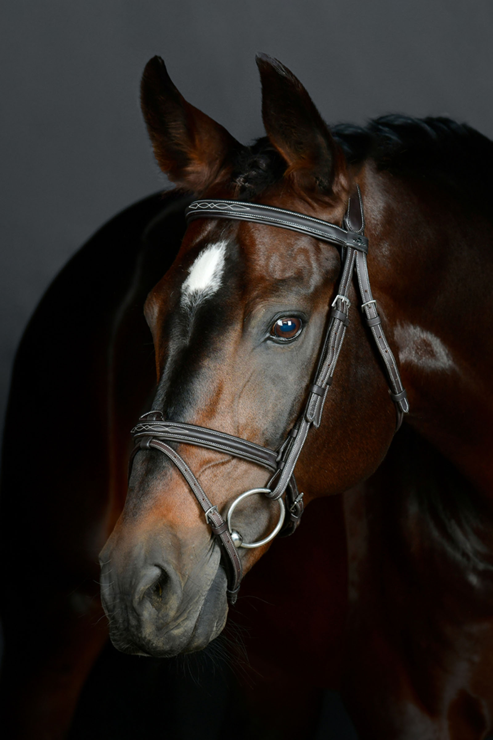 Collegiate Comfitec Opulux Fancy Stitch gepolsterte hannoversche Trense