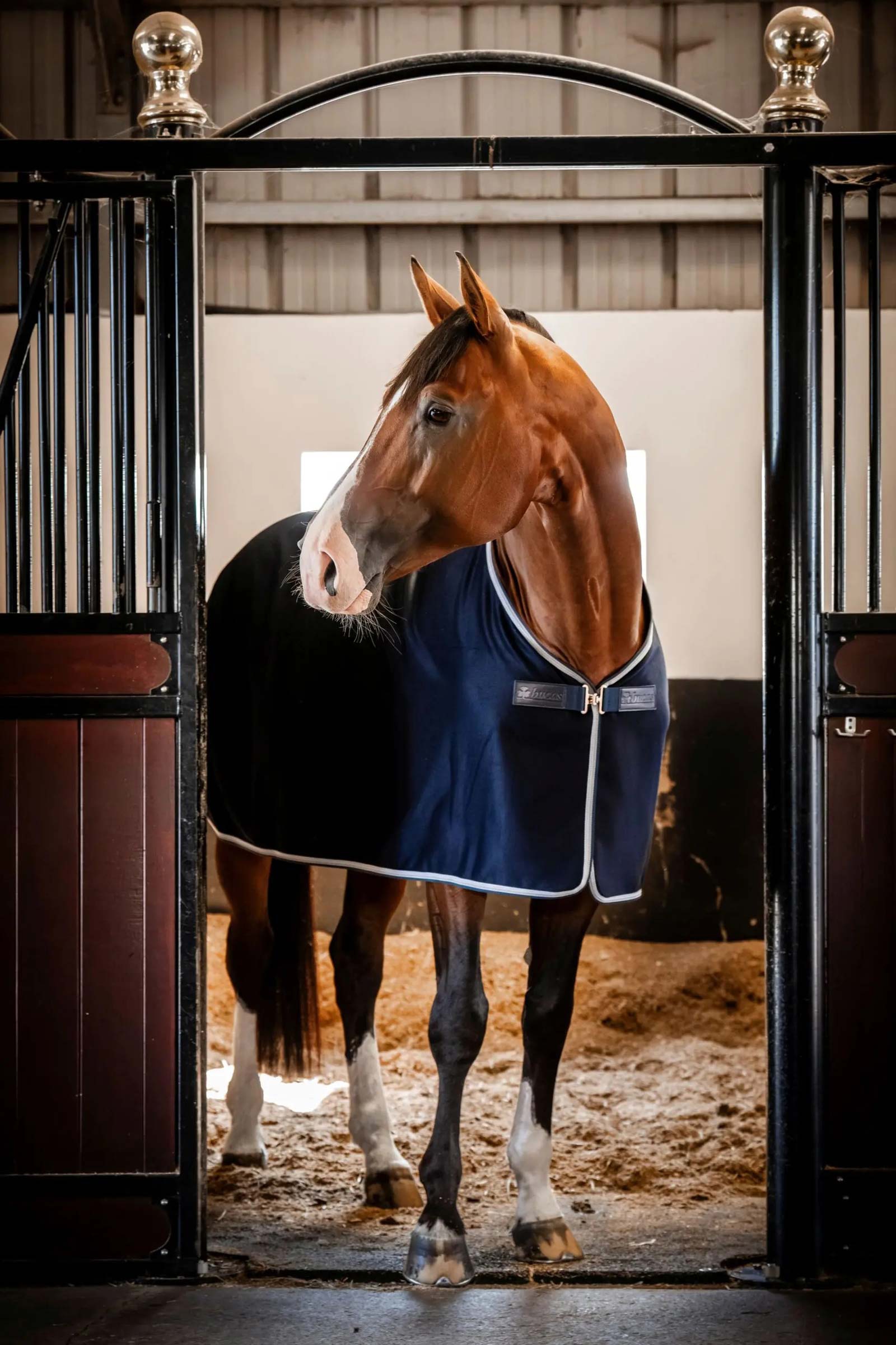 Bucas Emerald Wool Rug