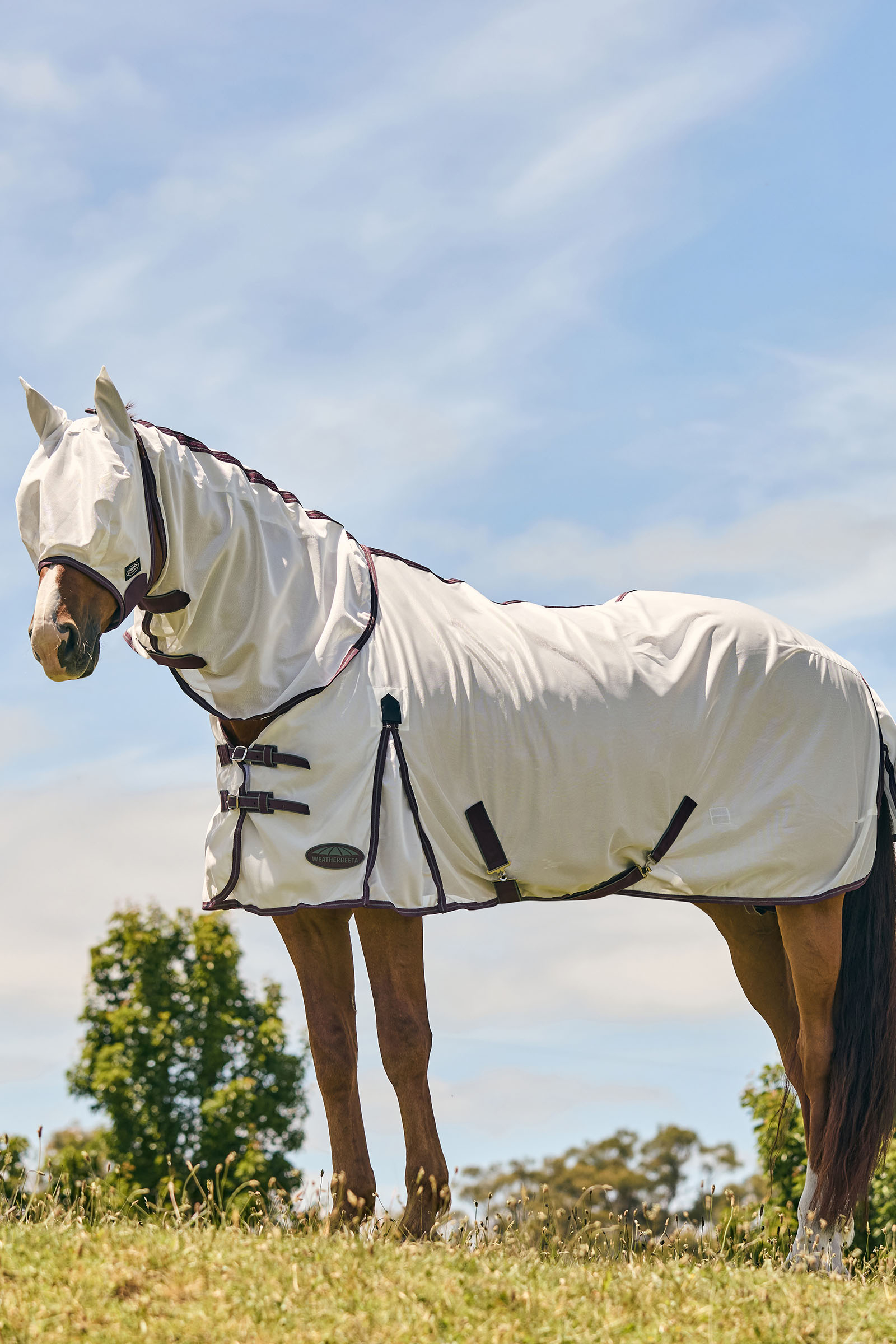 Weatherbeeta Comfitec Essential Mesh Maske