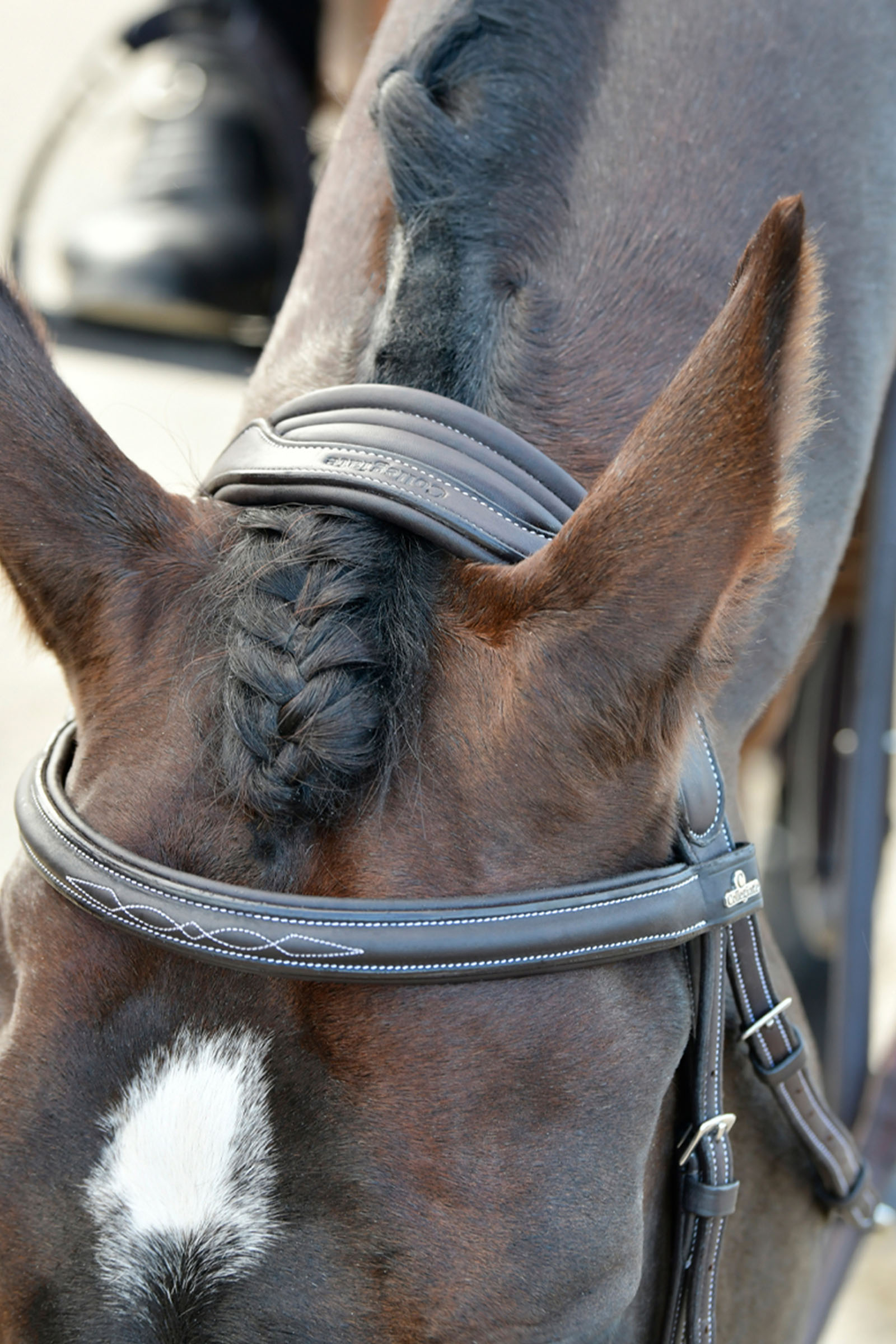 Collegiate Comfitec Opulux Fancy Stitch gepolsterte hannoversche Trense