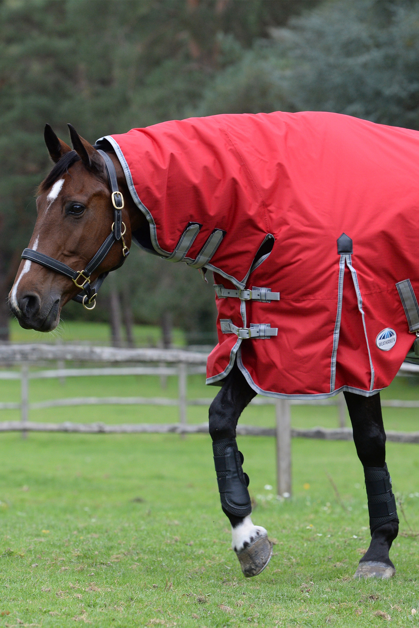 Weatherbeeta Comfitec Classic Weidedecke mit integriertem Halsteil, 50g