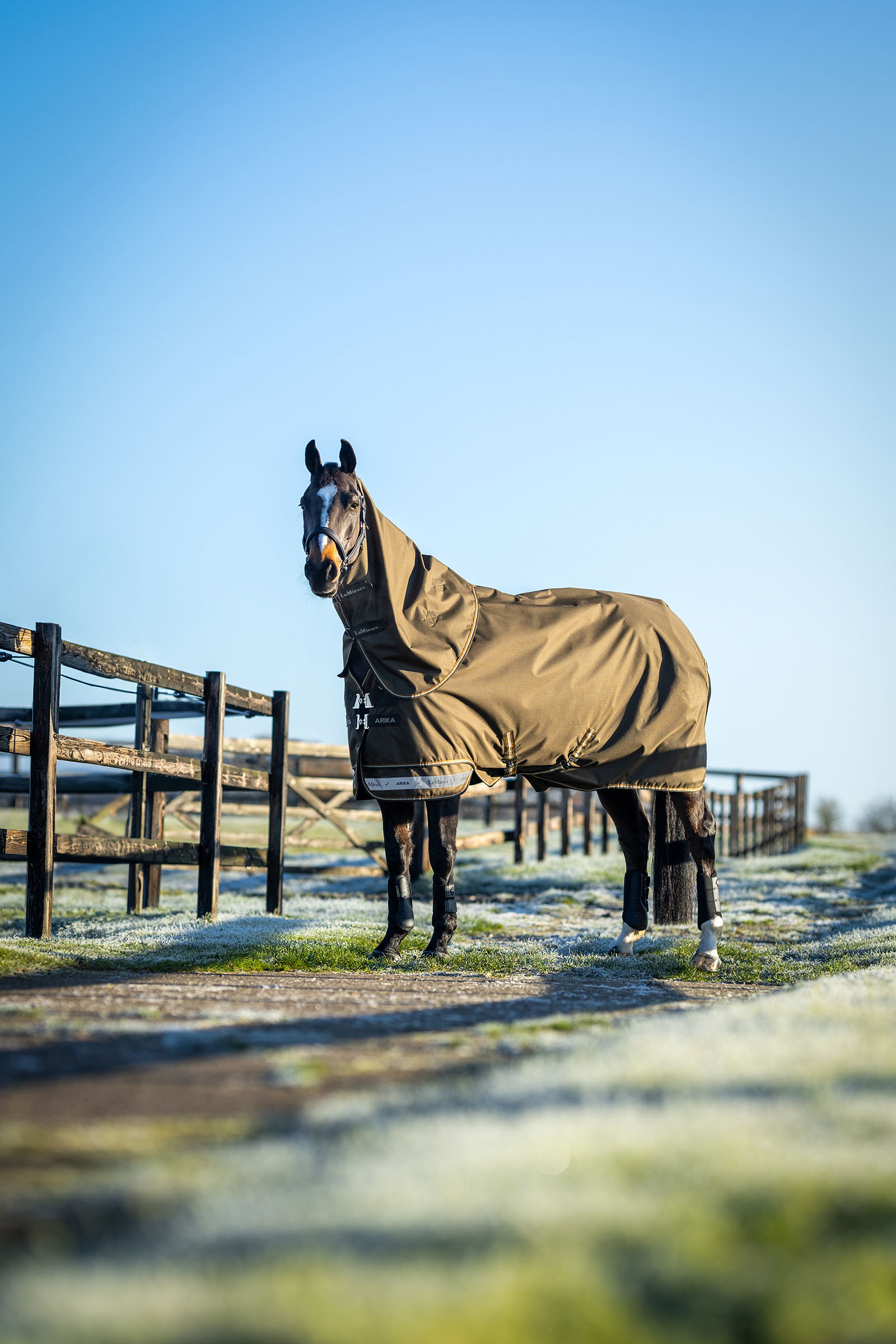 LeMieux Arika Ripstop Outdoordecke mit abnehmbarem Halsteil 50 g