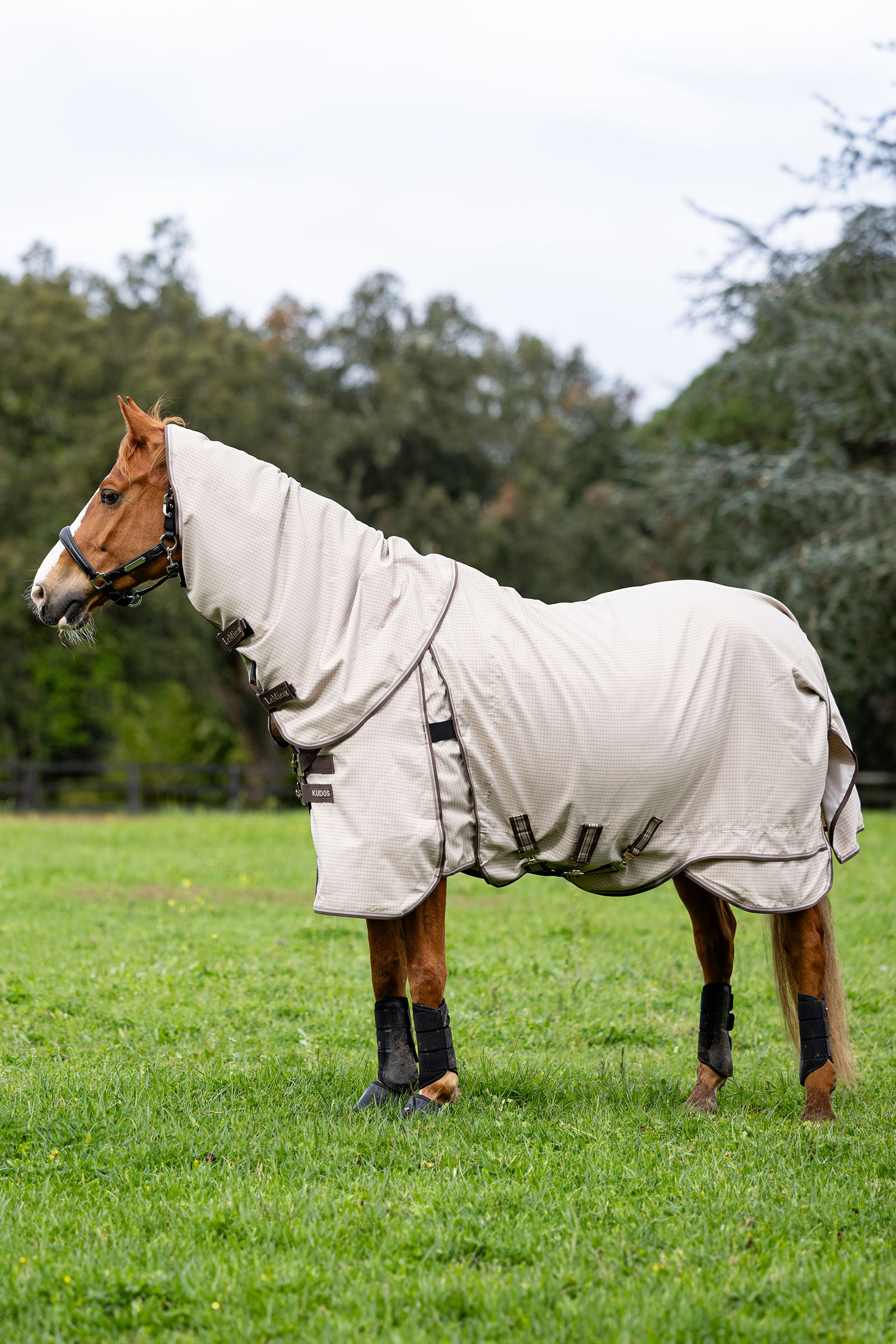 LeMieux Kudos Weidedecke