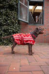 Horze Weihnachts-Hundepullover