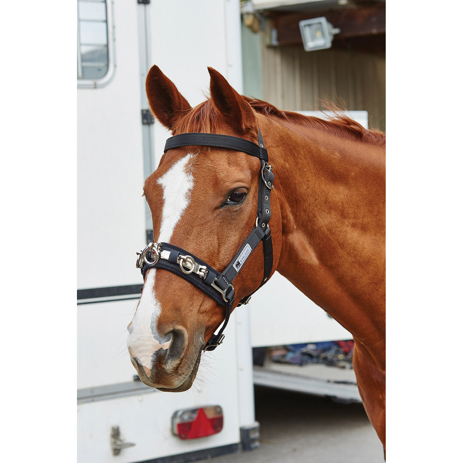 Kincade Coordinate Longier Kappzaum