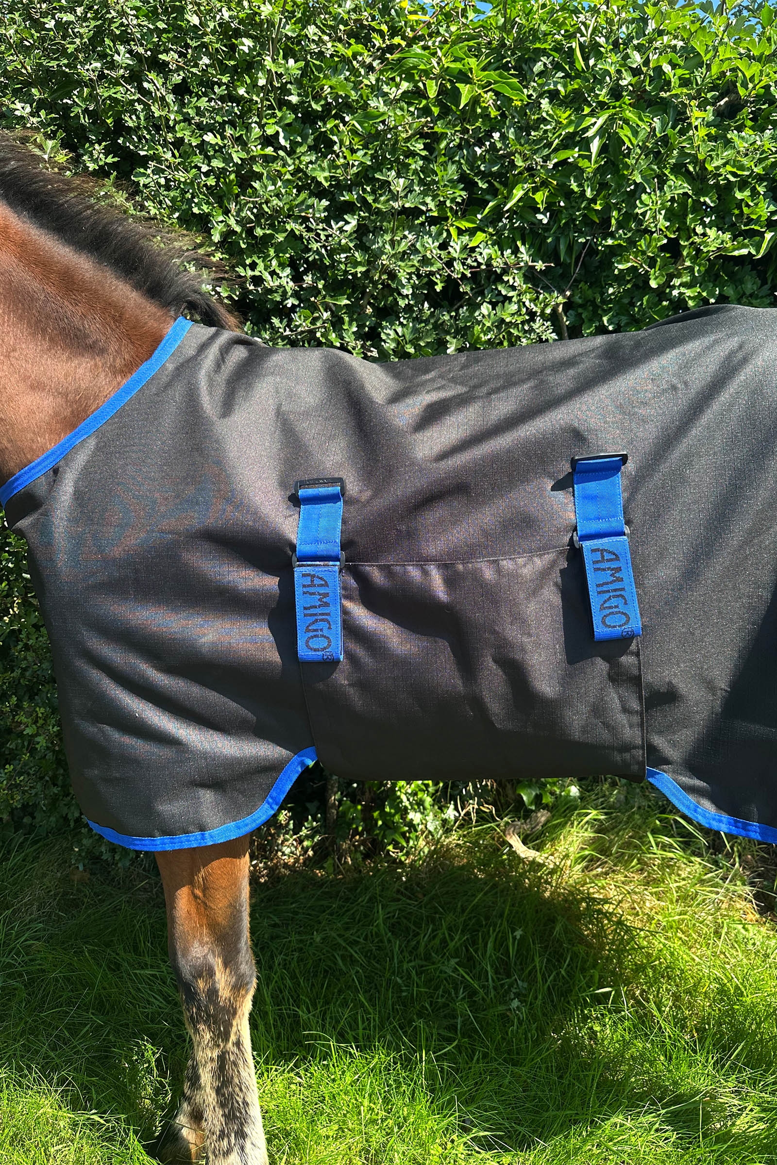 Horseware Amigo Ripstop 900D Weidedecke für Fohlen 200g