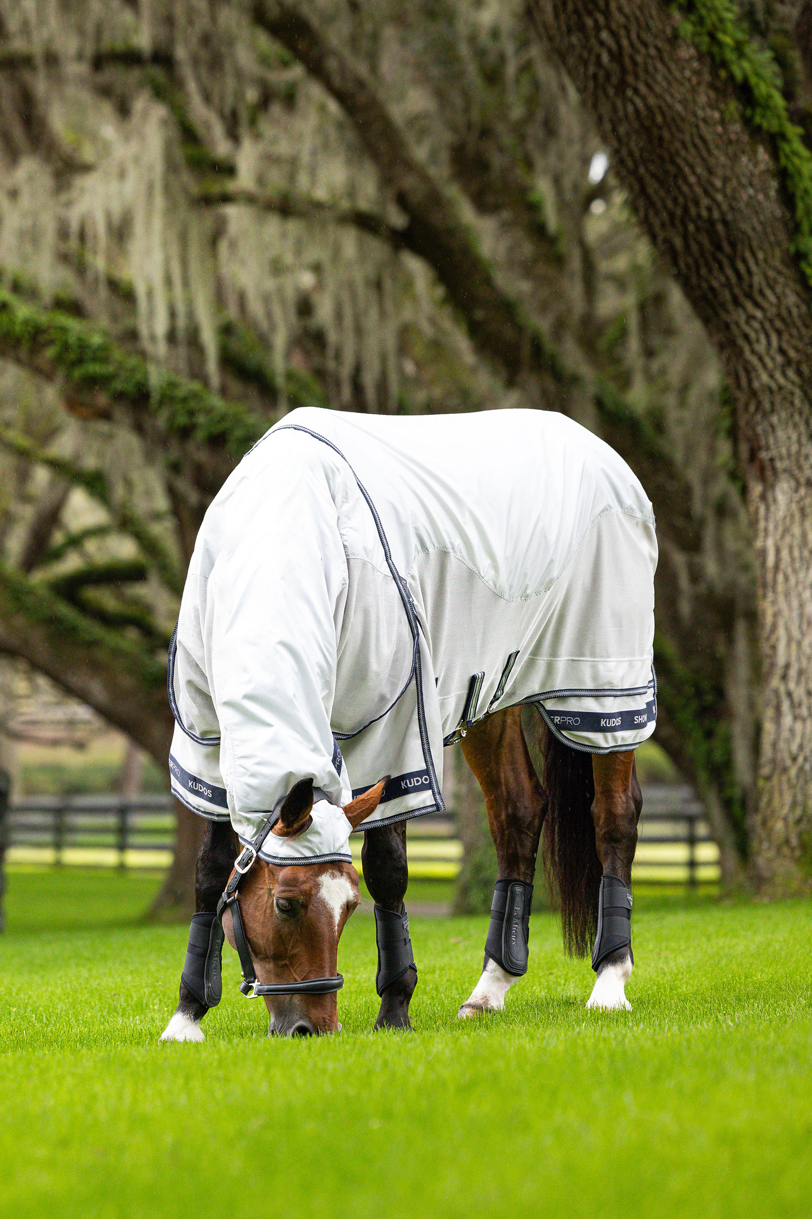 LeMieux Kudos Shower Pro wasserdichte Fliegendecke