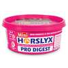 Horslyx Pro Digest Balancer Mini Leckstein, 650g