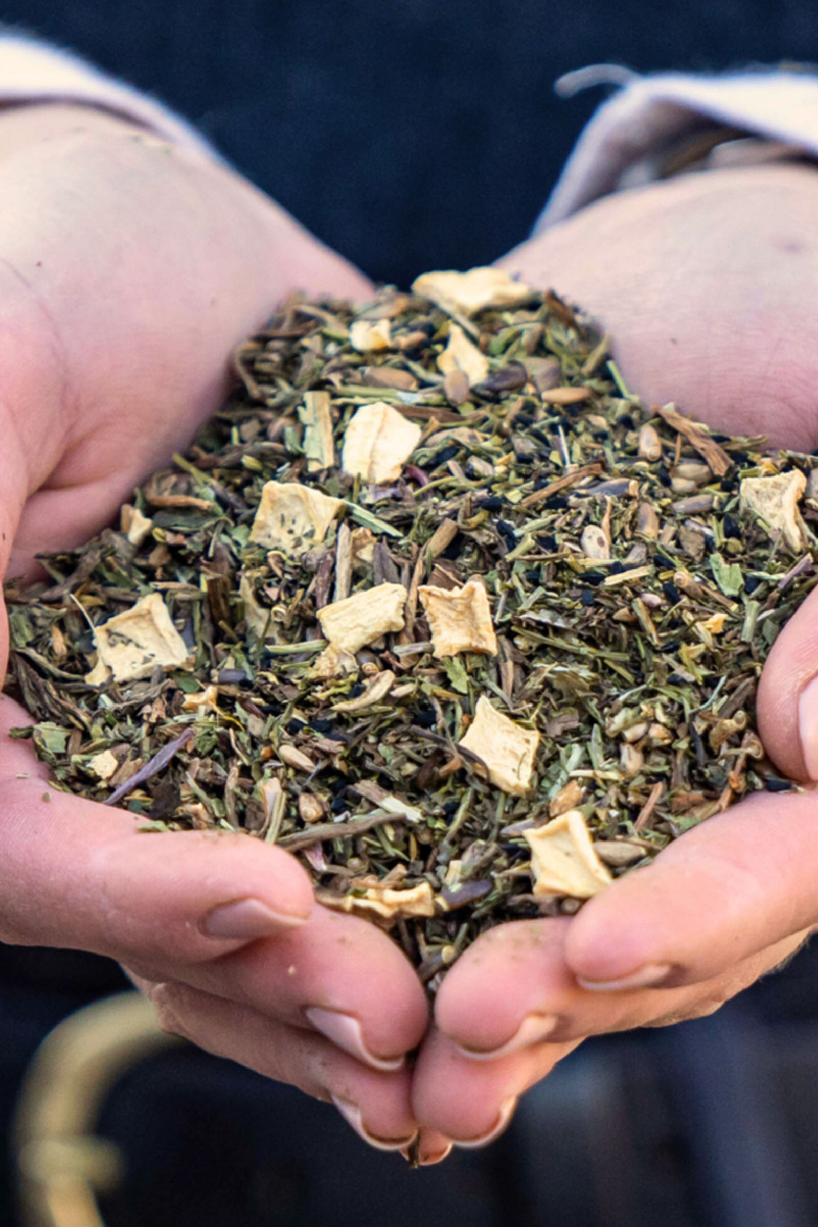 Stiefel Leberkr&auml;uter, 1kg