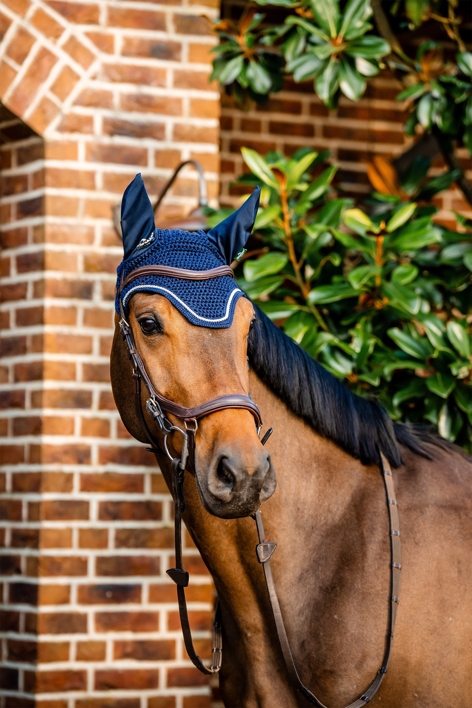 Horseware Signature Fliegenhaube
