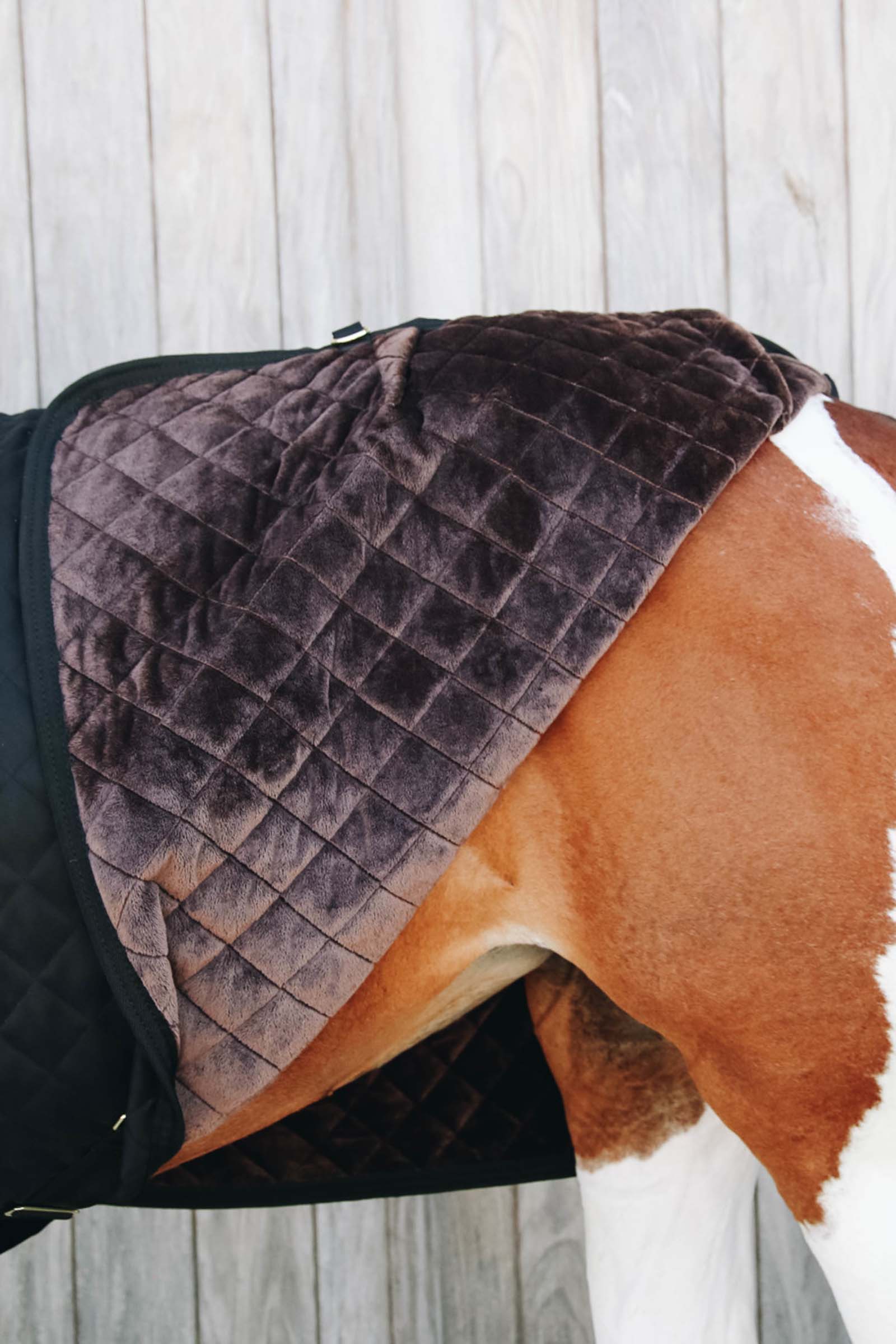Kentucky Horsewear Show Rug Turnierdecke, 160g