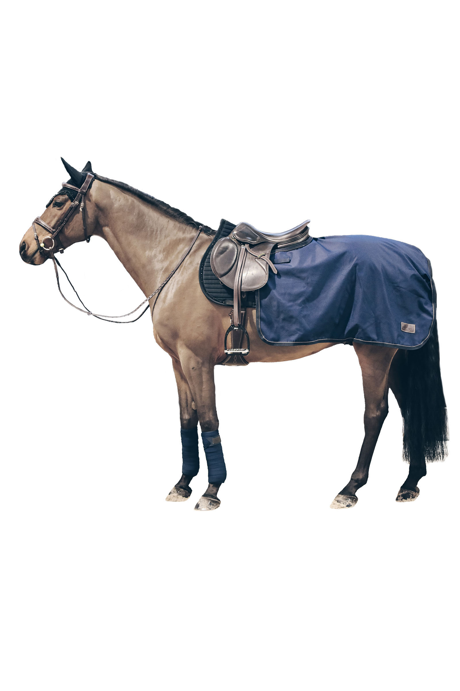 Kentucky Horsewear All Weather Nierendecke, 160g